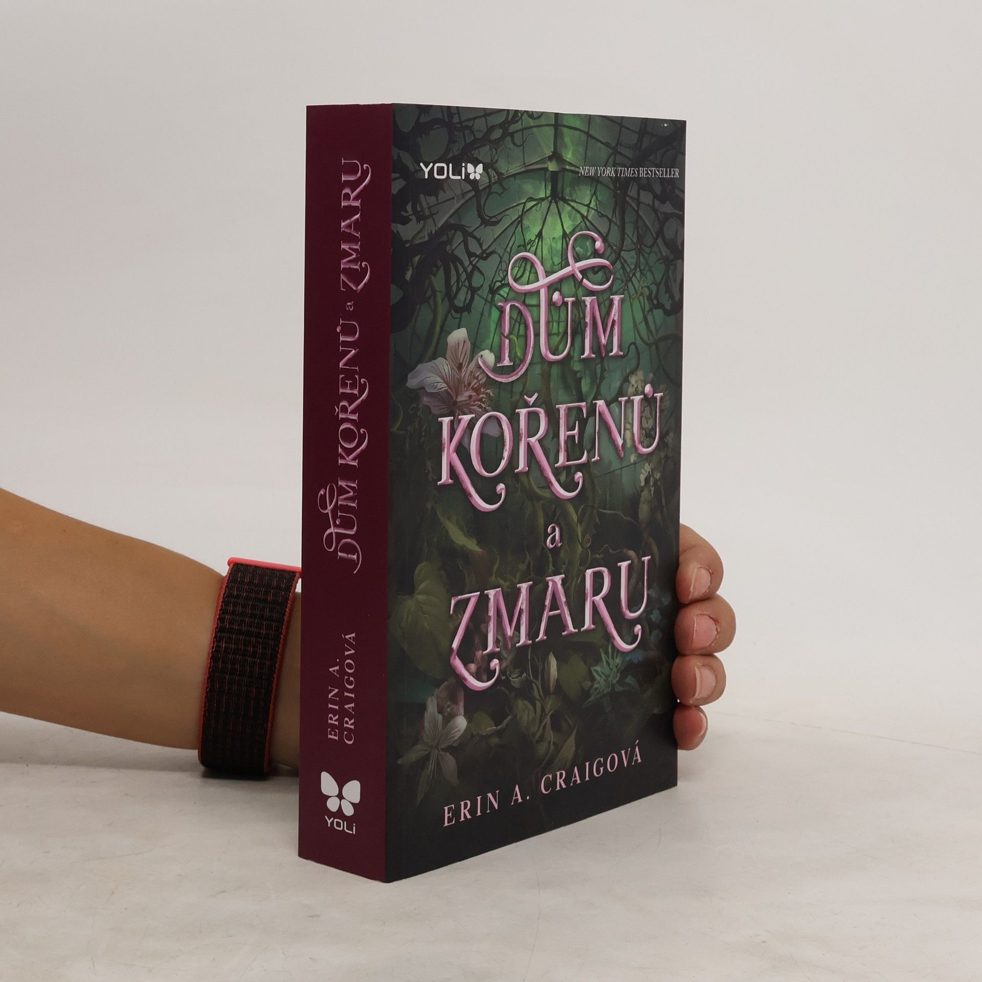 Erin A. Craig Dům kořenů a zmaru