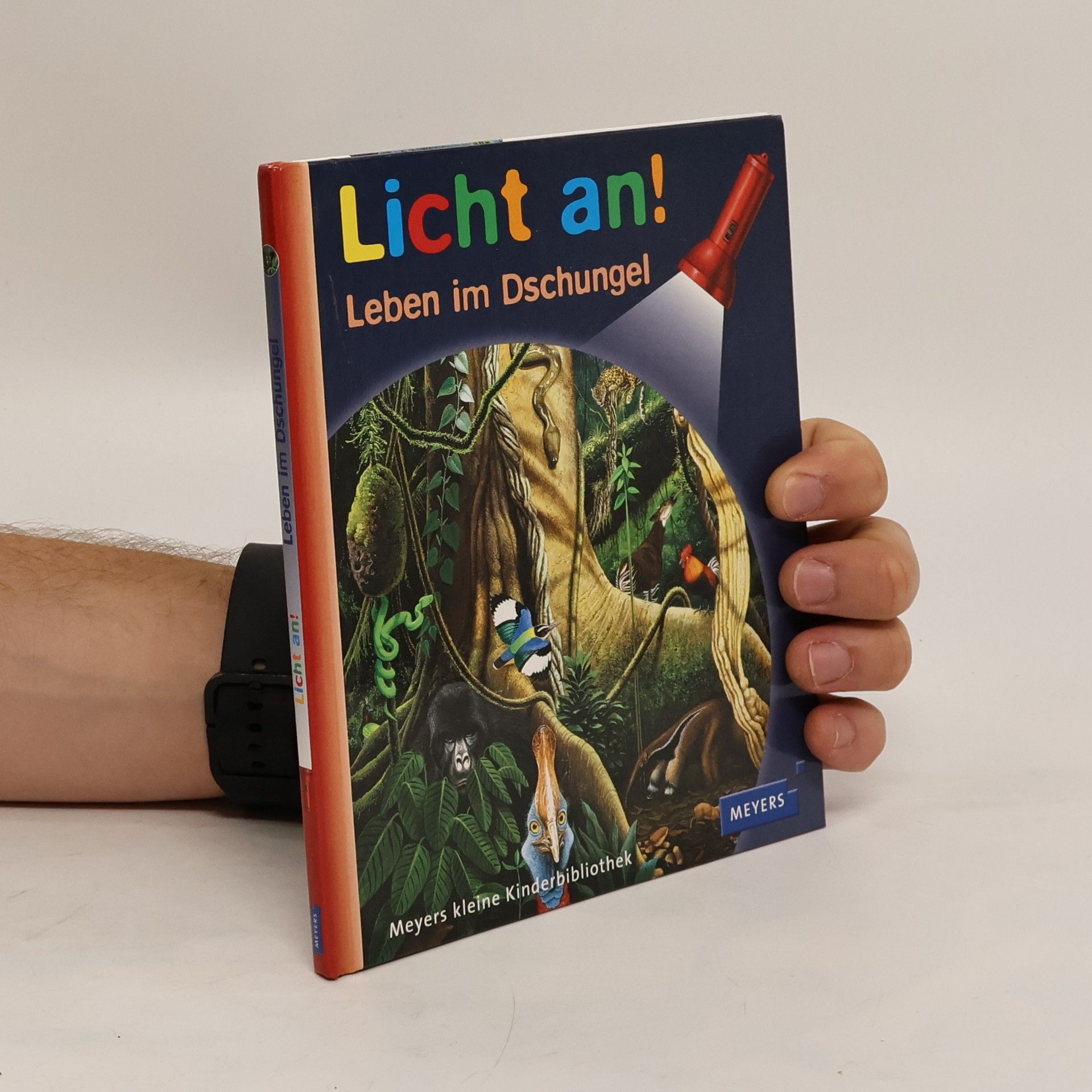 Collectif d'auteurs Licht an! Leben im Dschungel