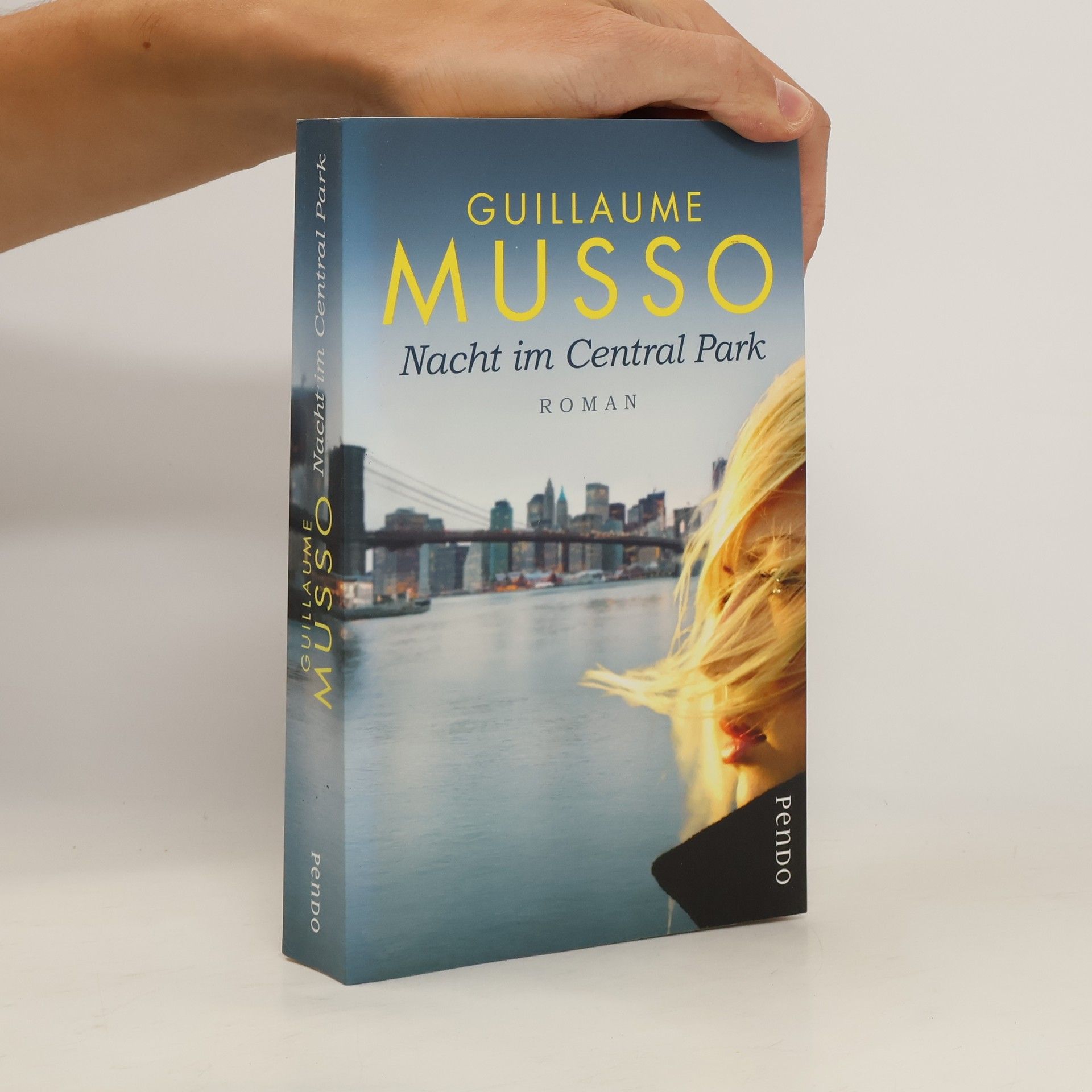 Guillaume Musso Nacht im Central Park