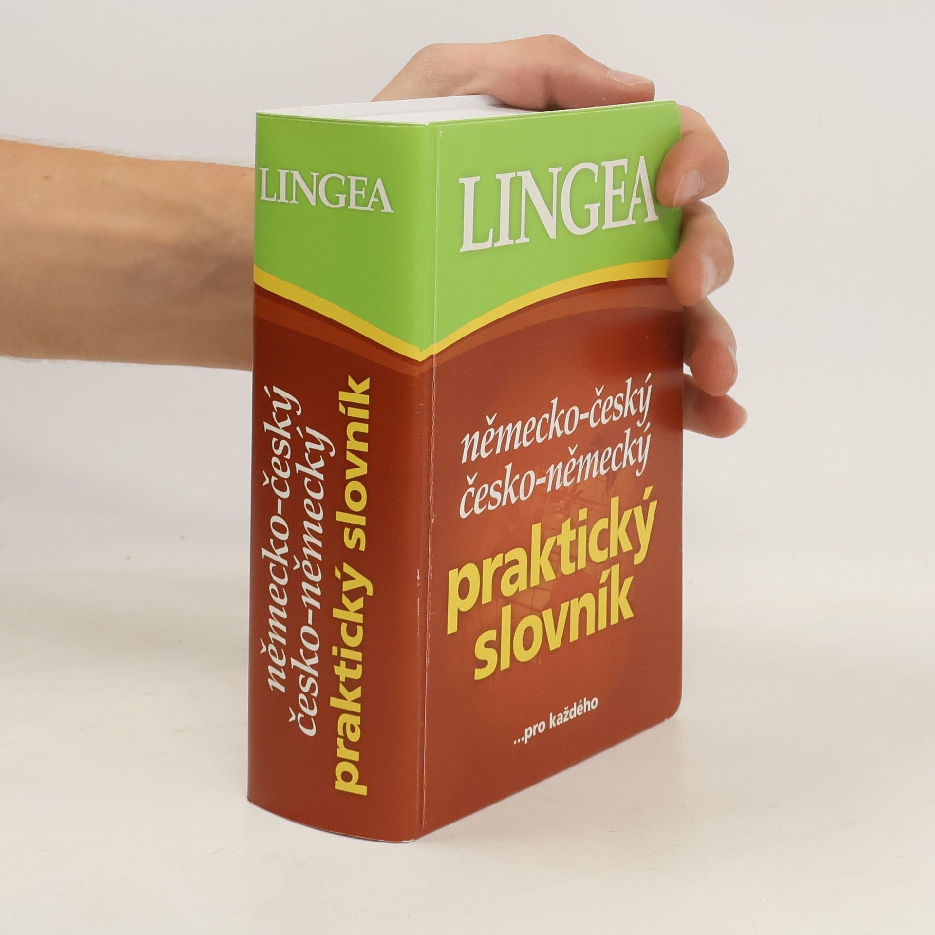 Auteurscollectief Německo-český, česko-německý praktický slovník