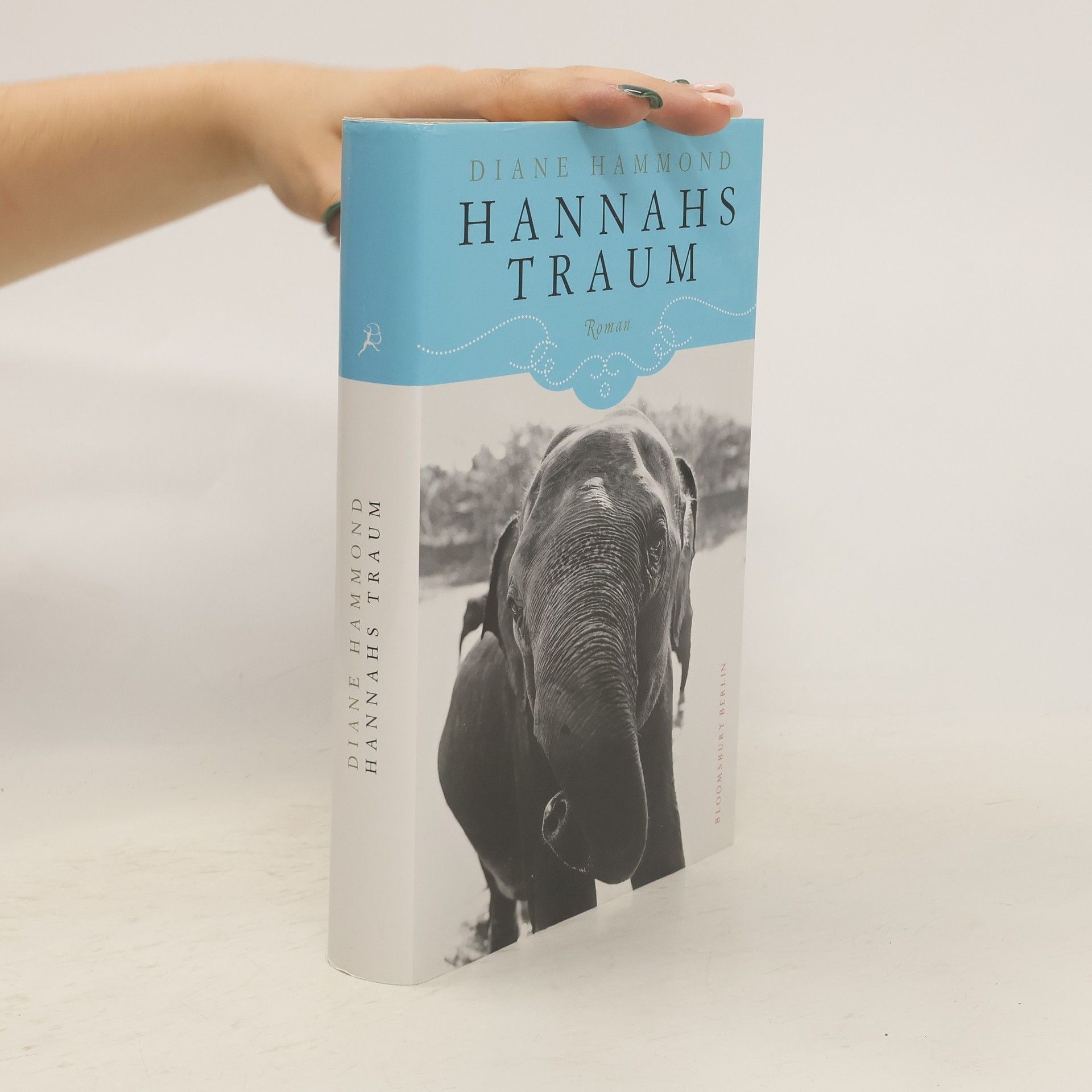 Diane Hammond Hannahs Traum