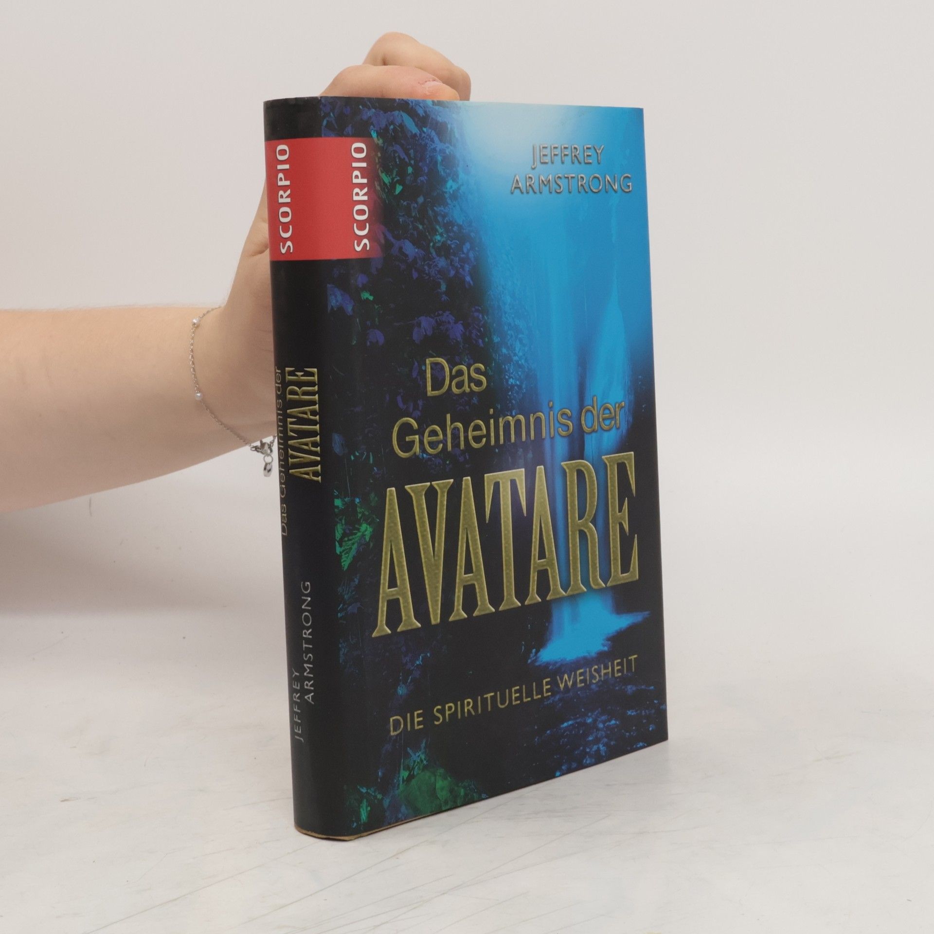 Jeffrey Armstrong Das Geheimnis der Avatare