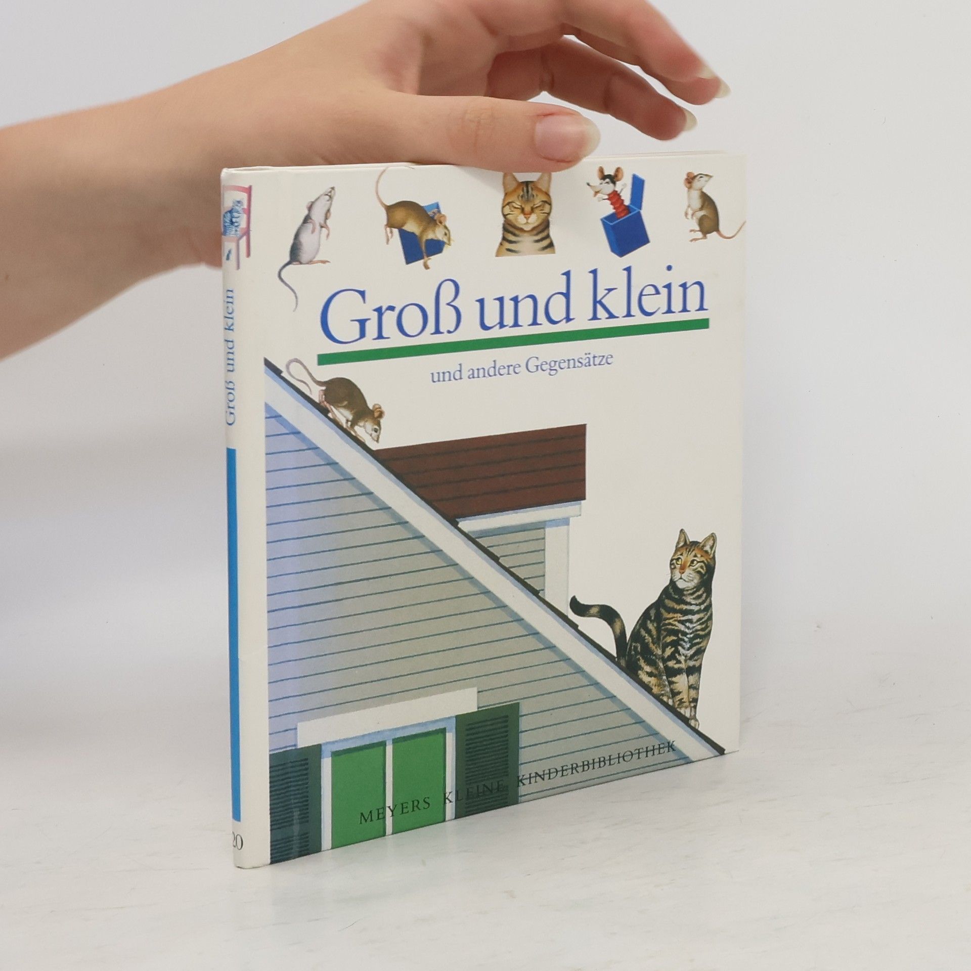 Henri Galeron Gross und klein und andere Gegensätze