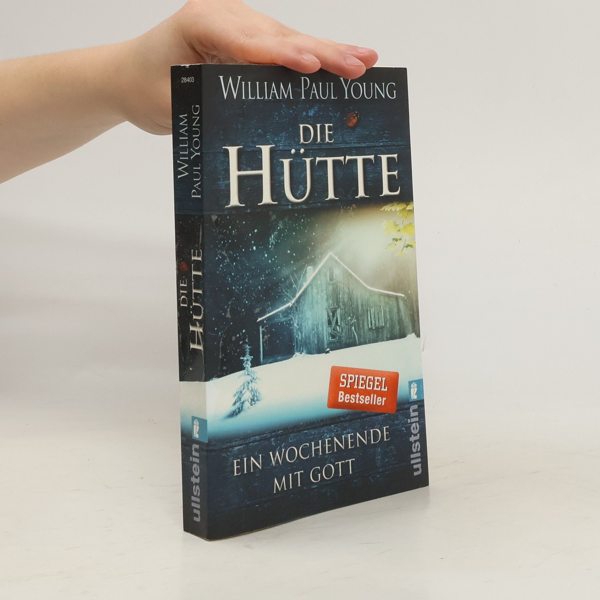 William P. Young Die Hütte