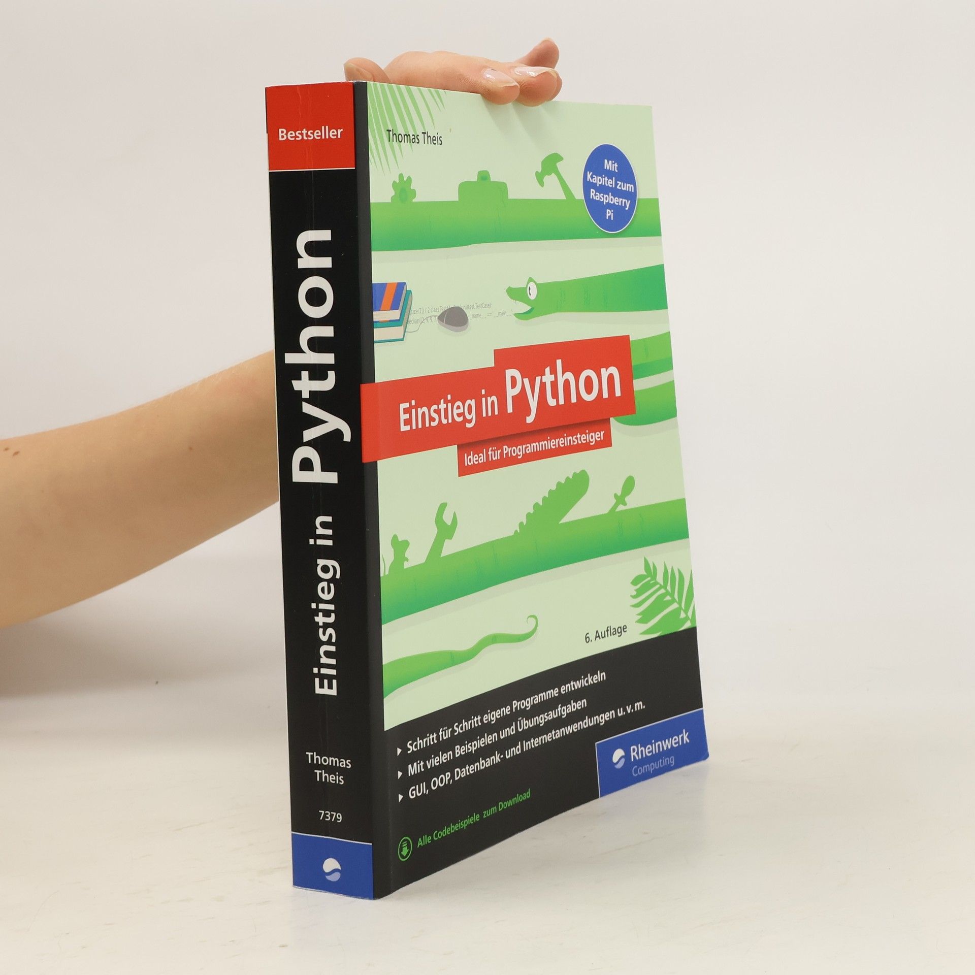 Thomas Theis Einstieg in Python