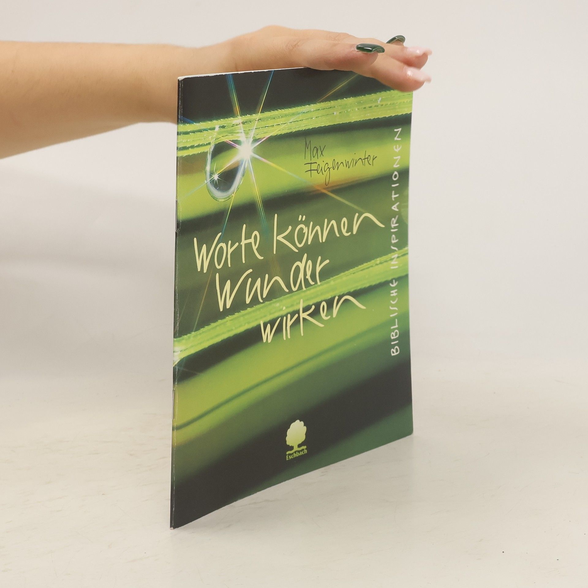 Max Feigenwinter Worte können Wunder wirken. Biblische Inspirationen