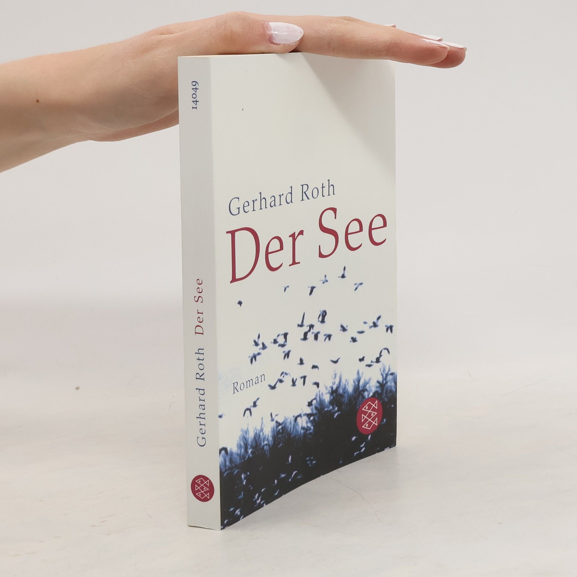 Gerhard Roth Der See : Roman