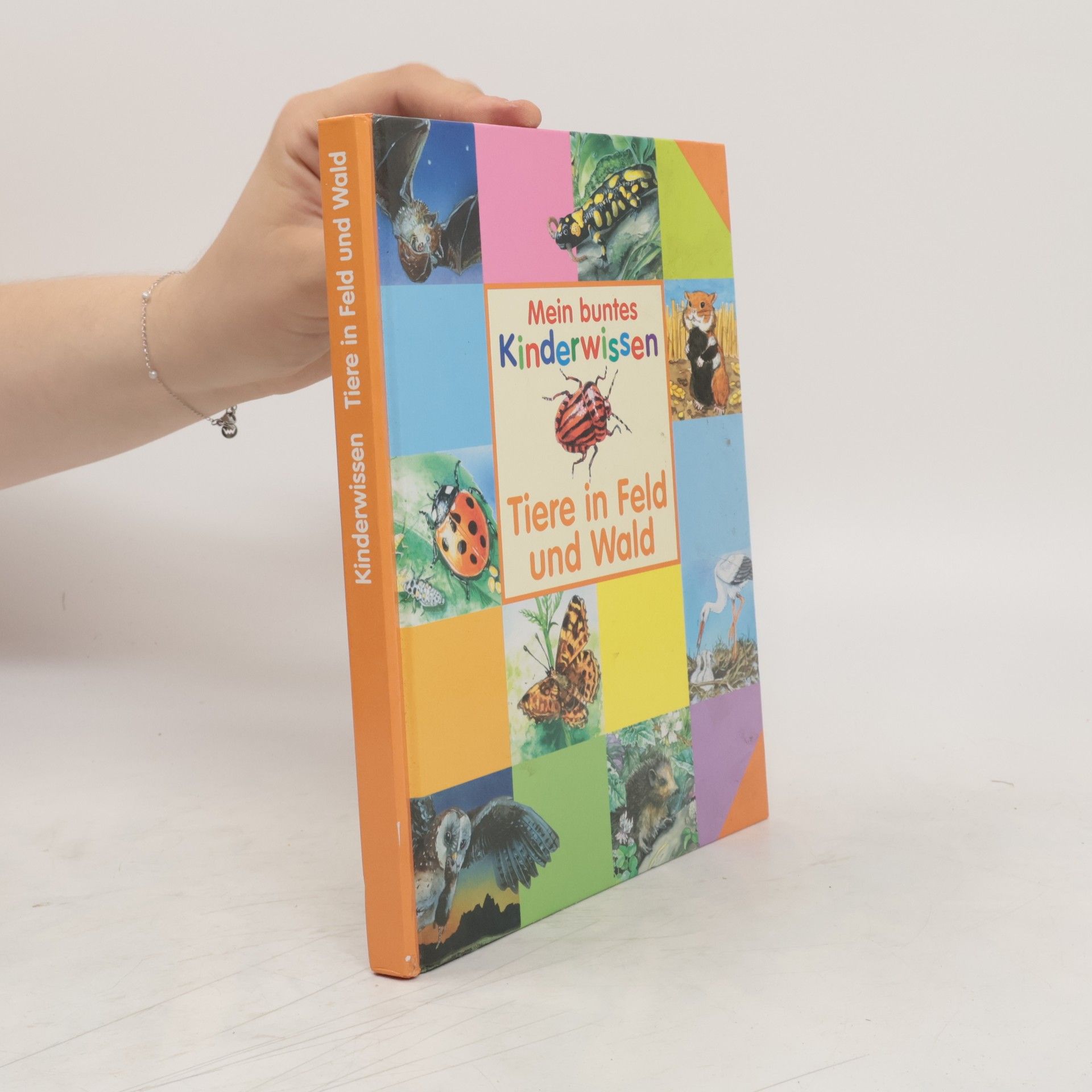 Autorenkollektiv Mein buntes Kinderwissen. Tiere in Feld und Wald