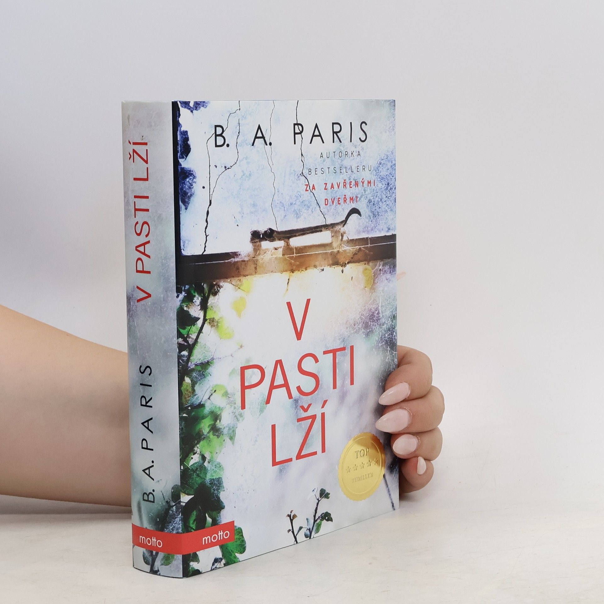 B.A. Paris V pasti lží