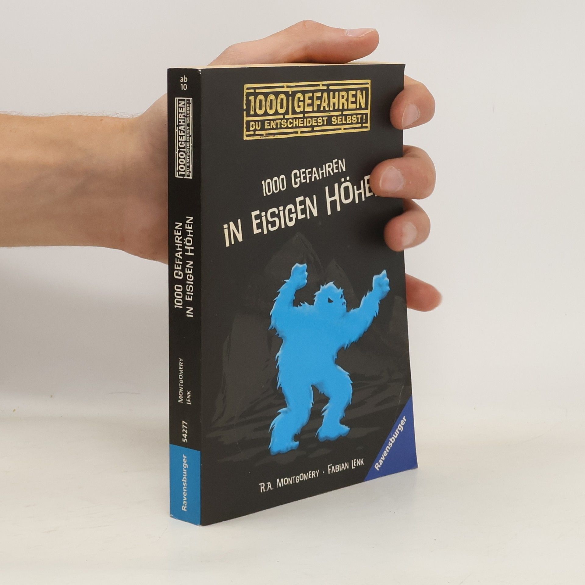 R. A. Montgomery 1000 Gefahren in eisigen Höhen