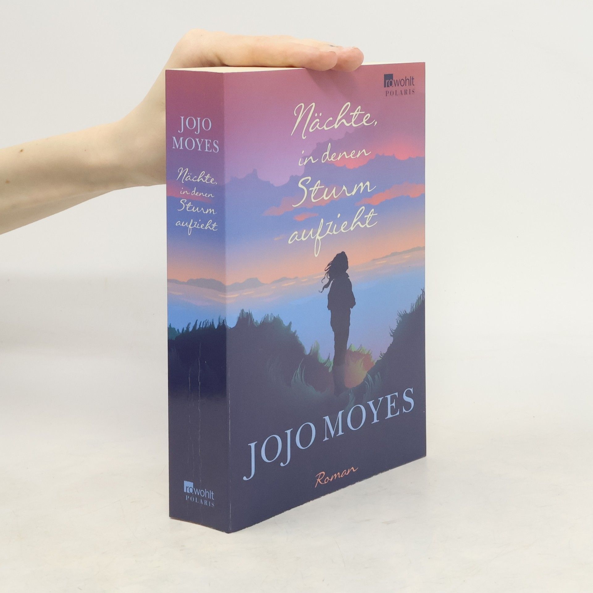 Jojo Moyes Nächte in denen Sturm aufzieht
