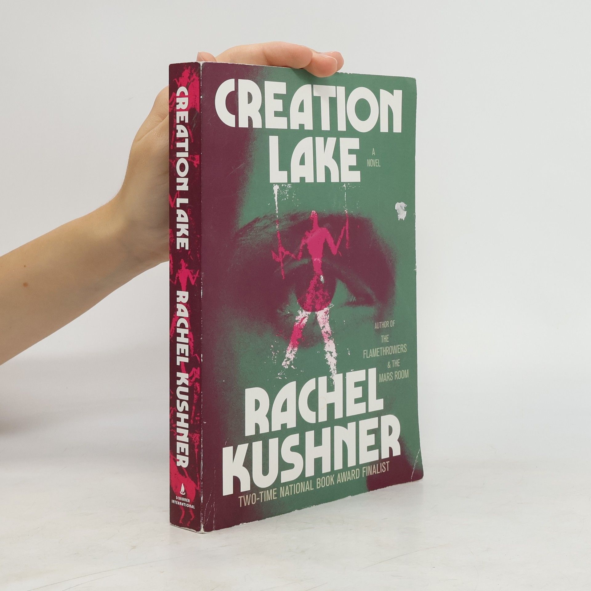 Rachel Kushner Creation Lake