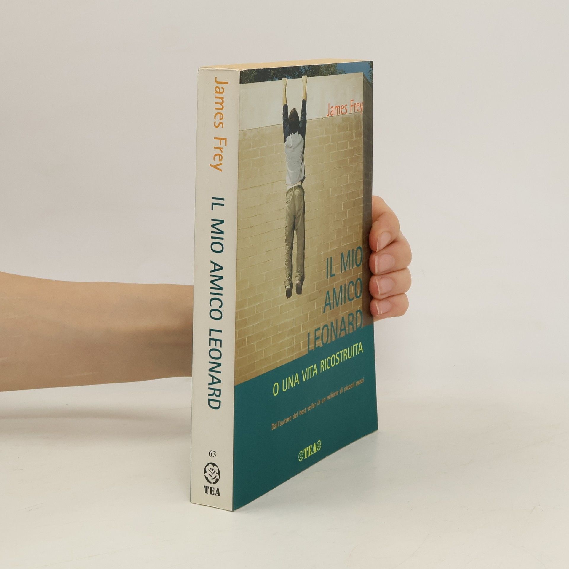 James Frey Il mio amico Leonard o una vita ricostruita