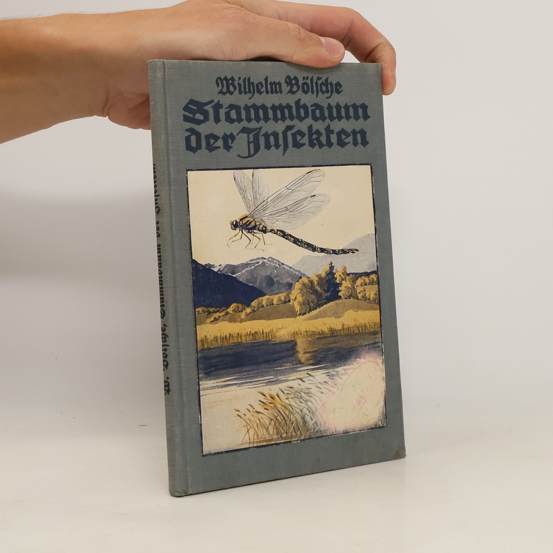 Wilhelm Bölsche Der Stammbaum der Insekten