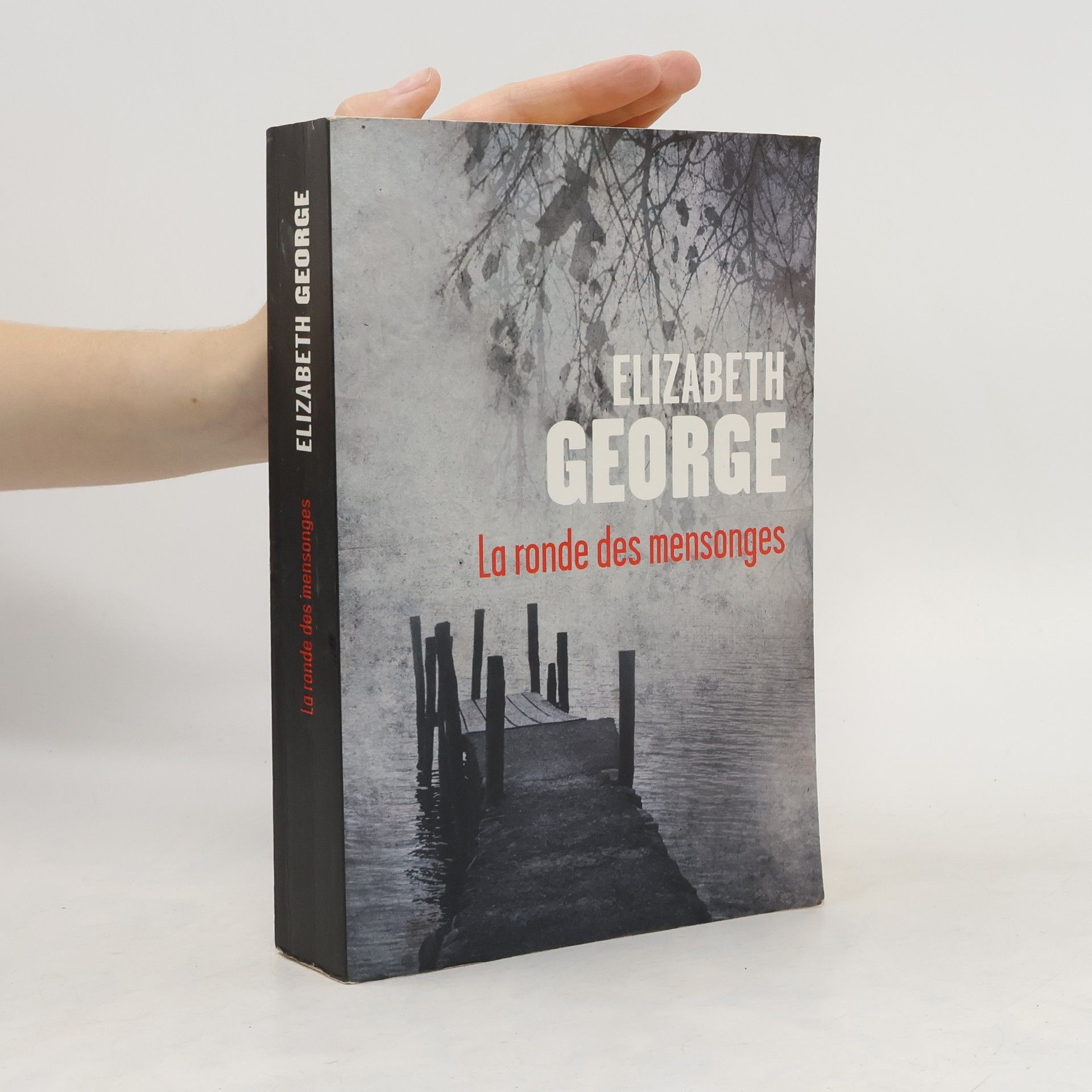 Elizabeth Thornton La ronde des mensonges