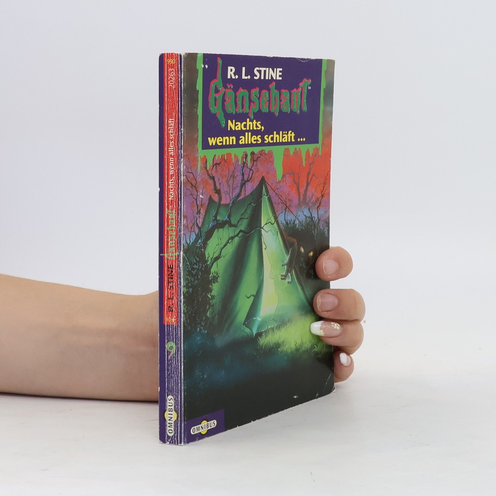 R. L. Stine Gänsehaut 9. Nachts, wenn alles schläft