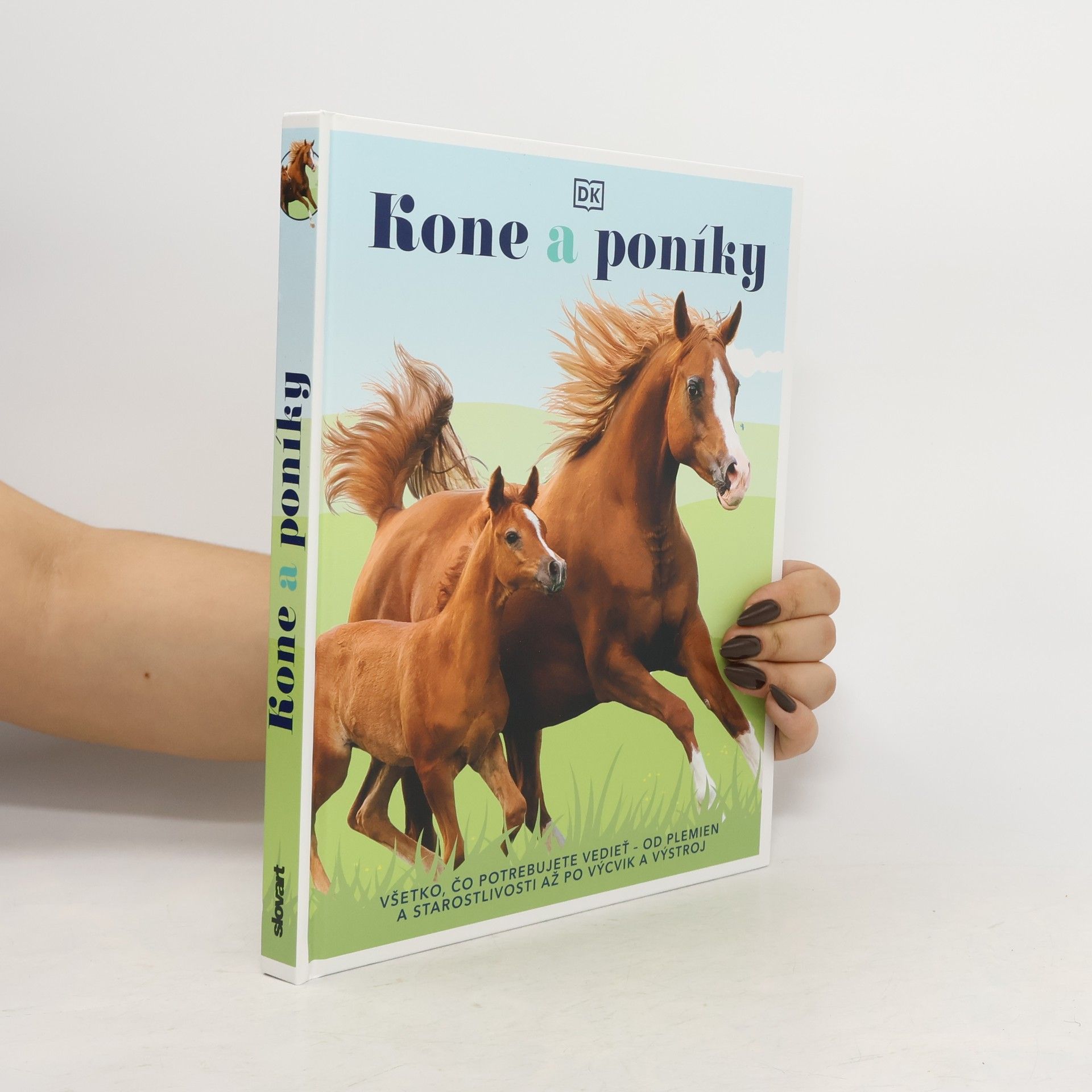 kolektiv Kone a poníky