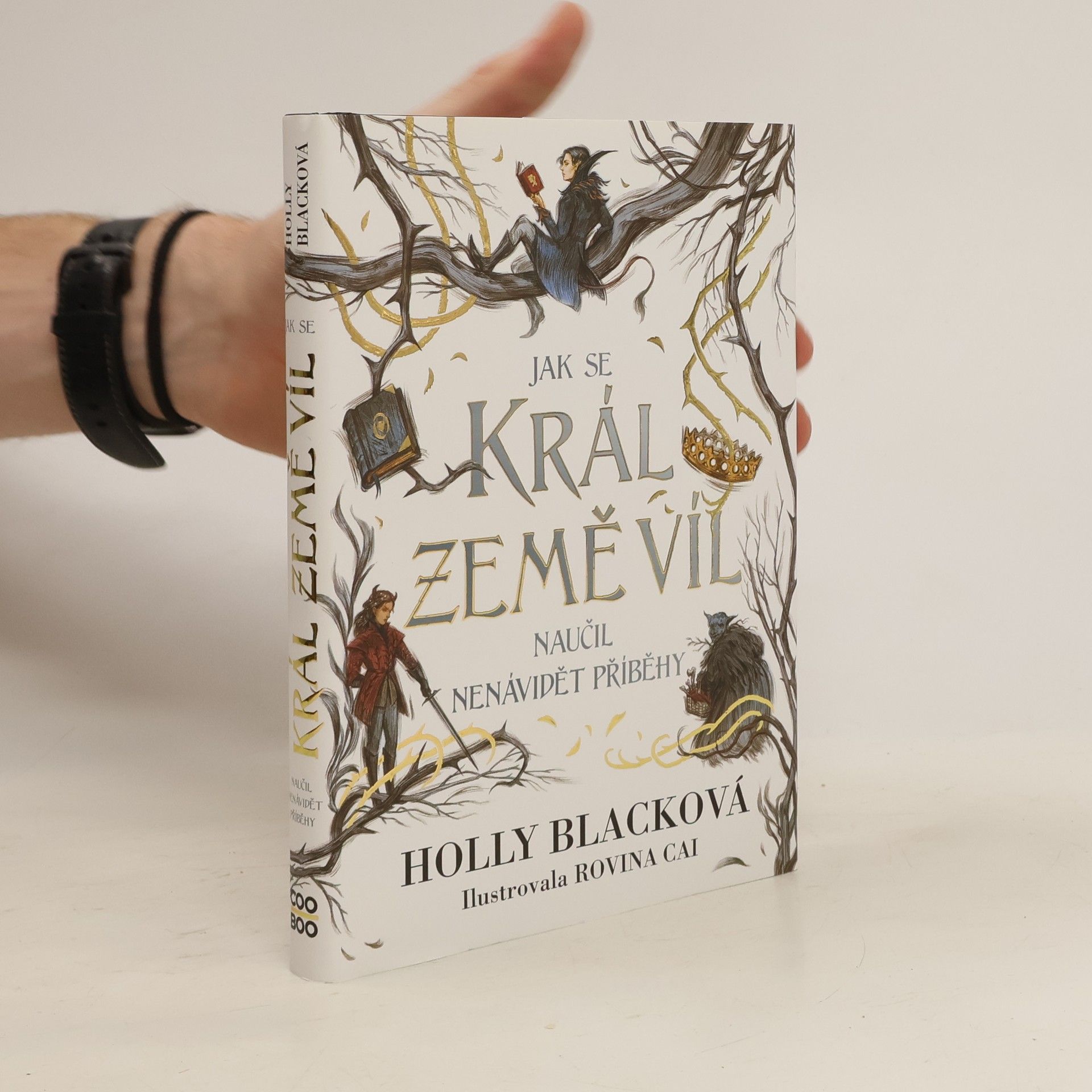 Holly Black Jak se král Země víl naučil nenávidět příběhy