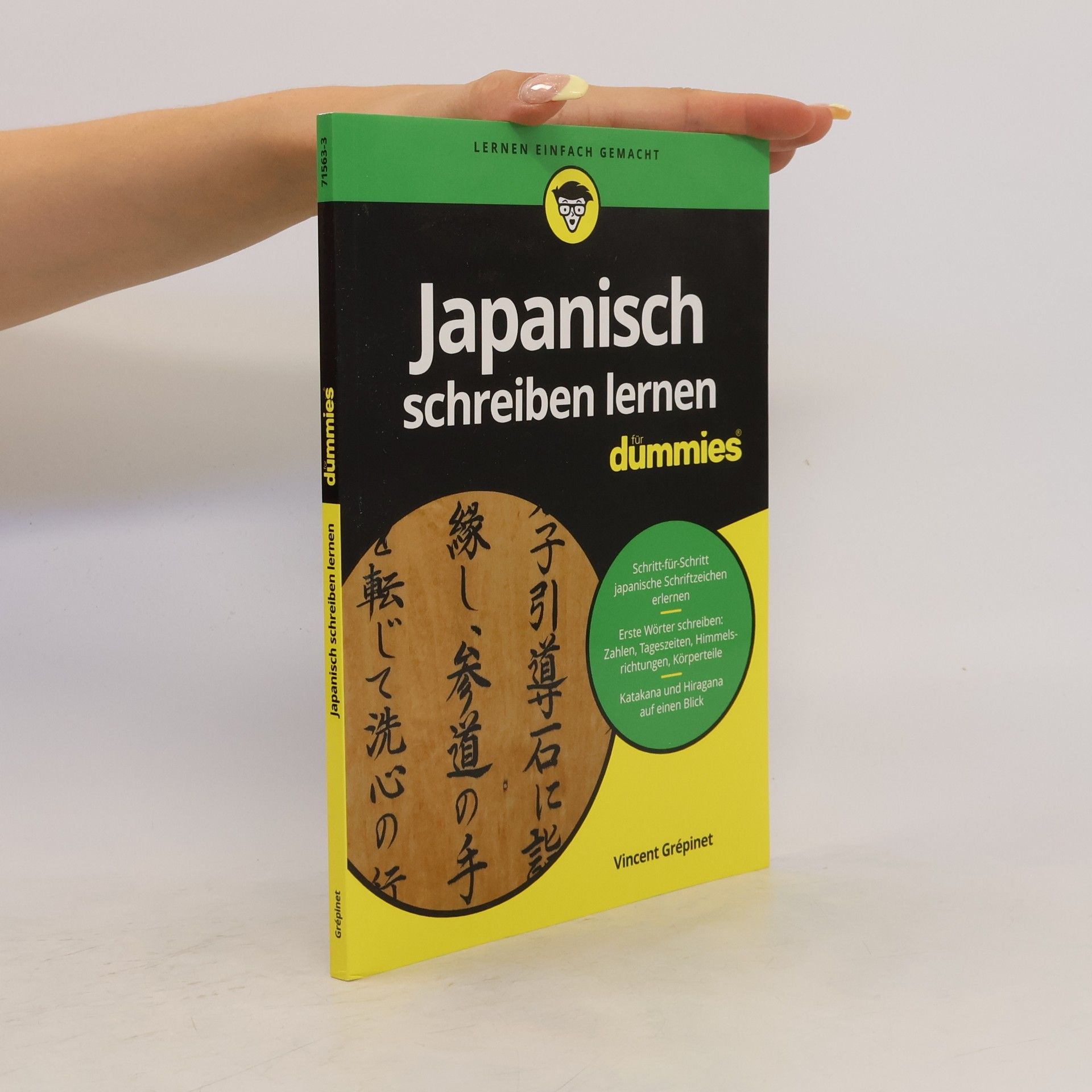 Vincent Grépinet Japanisch schreiben lernen für Dummies