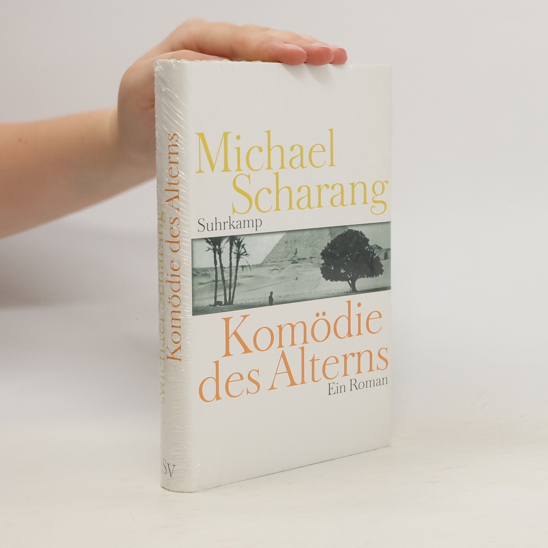 Michael Scharang Komödie des Alterns