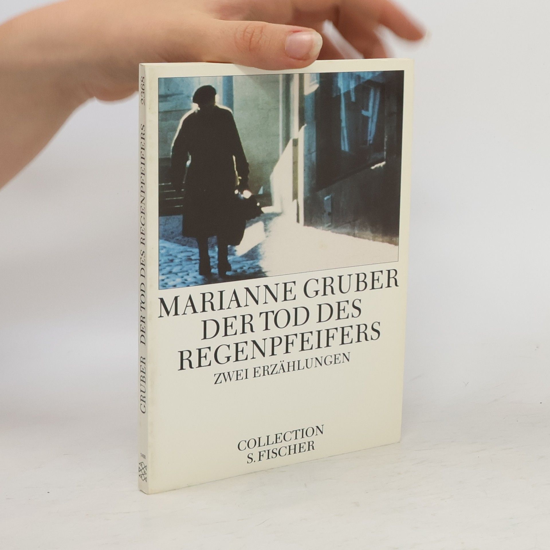 Marianne Gruber Der Tod des Regenpfeifers