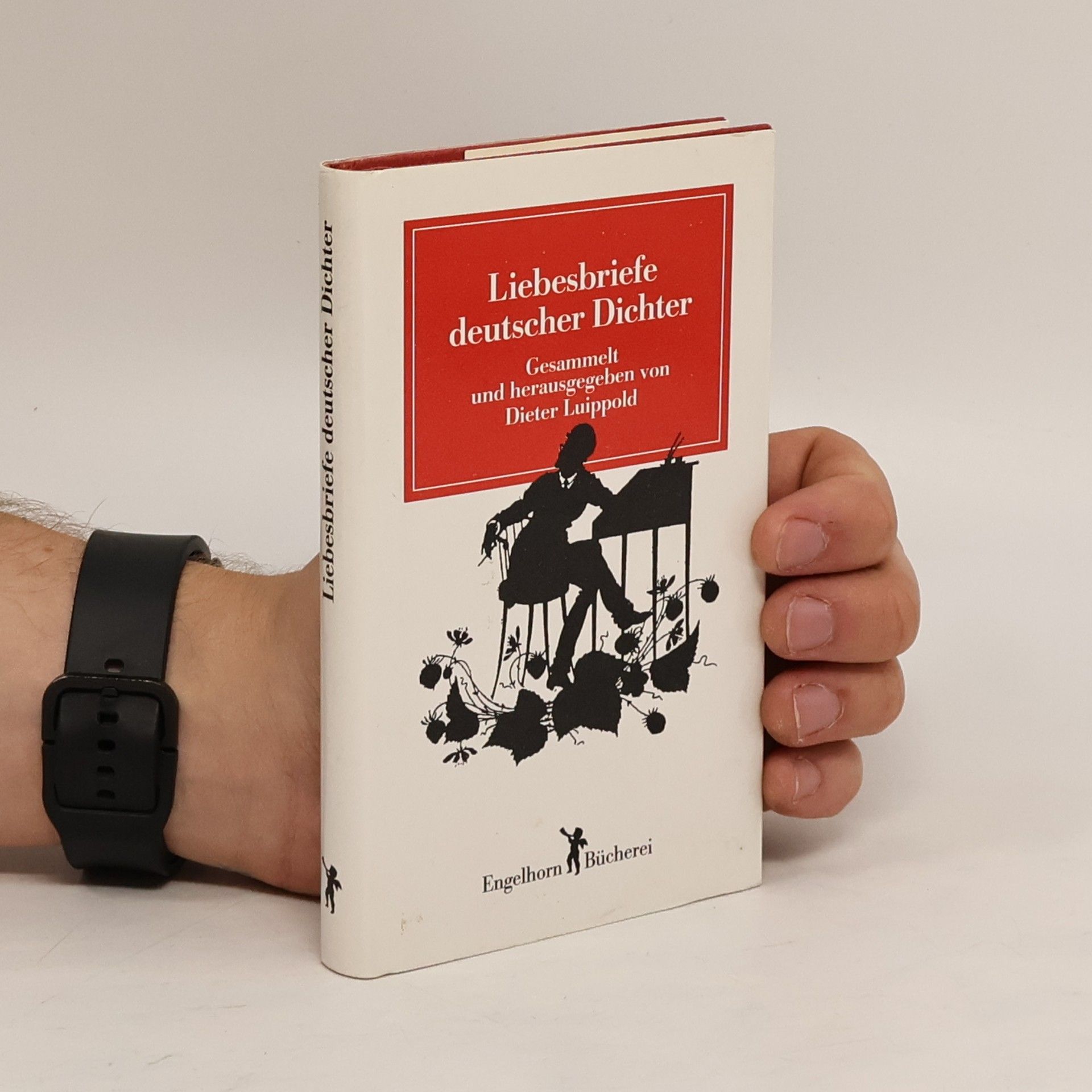 Dieter Luippold Liebesbriefe deutscher Dichter
