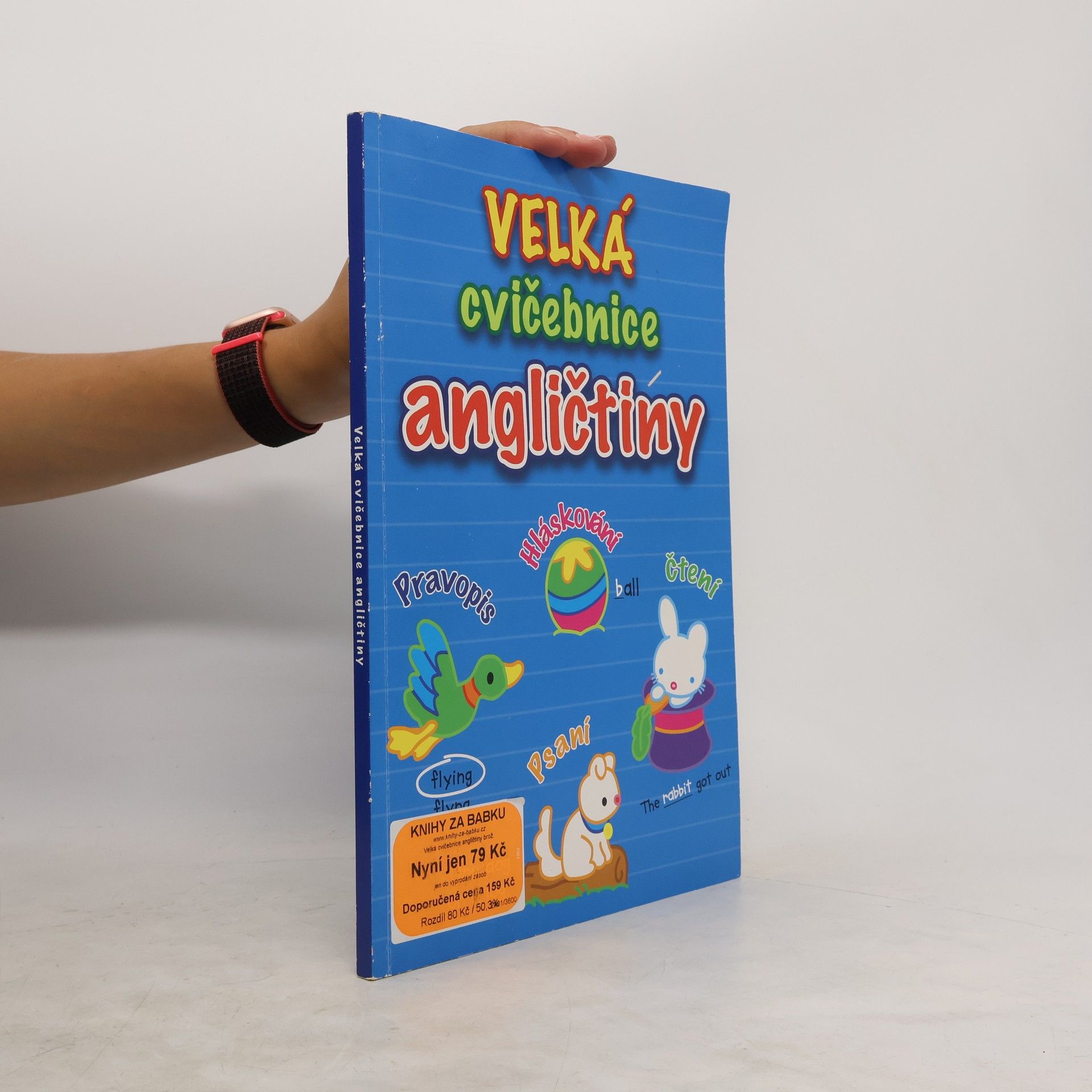 AA.VV. Velká cvičebnice angličtiny