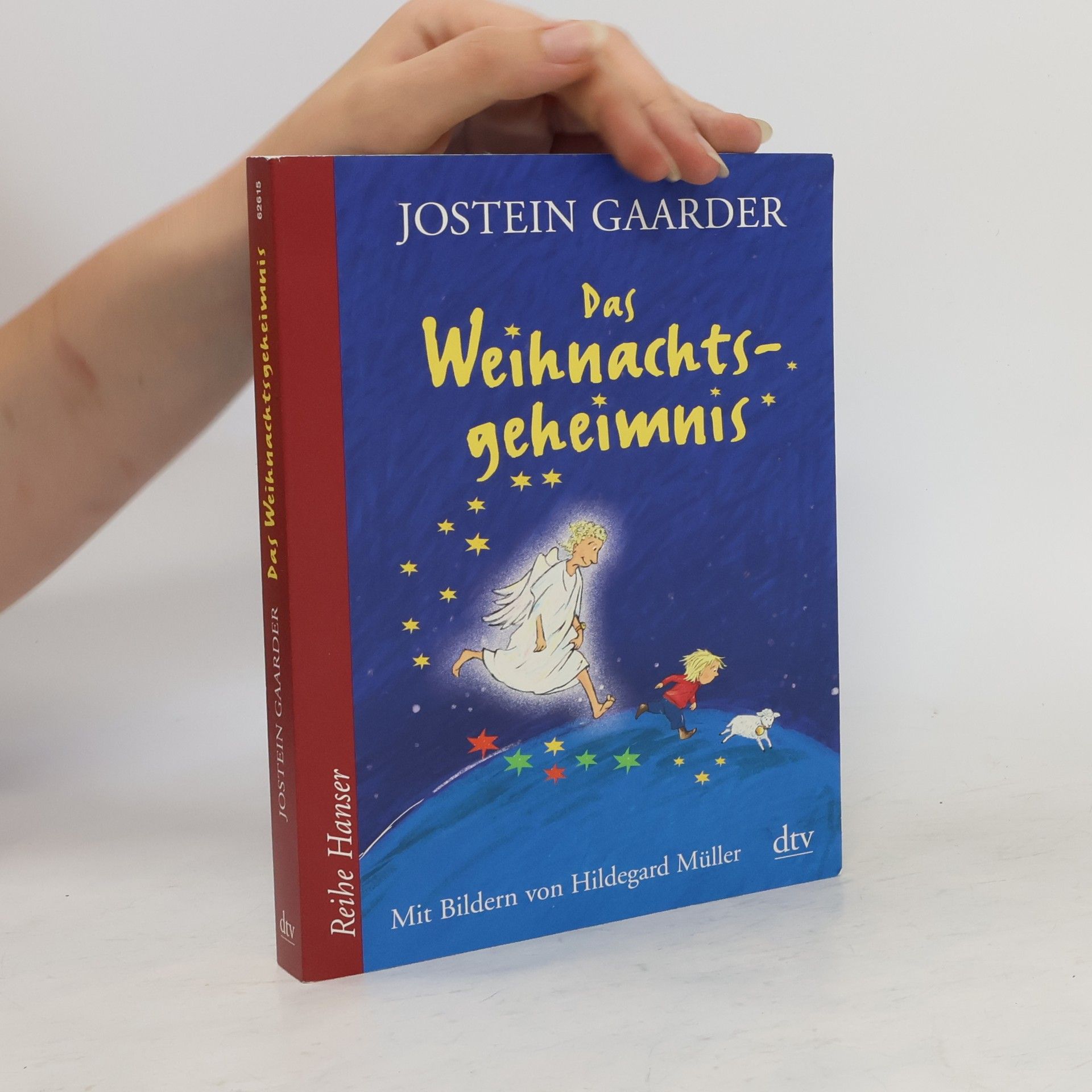 Jostein Gaarder Das Weihnachtsgeheimnis