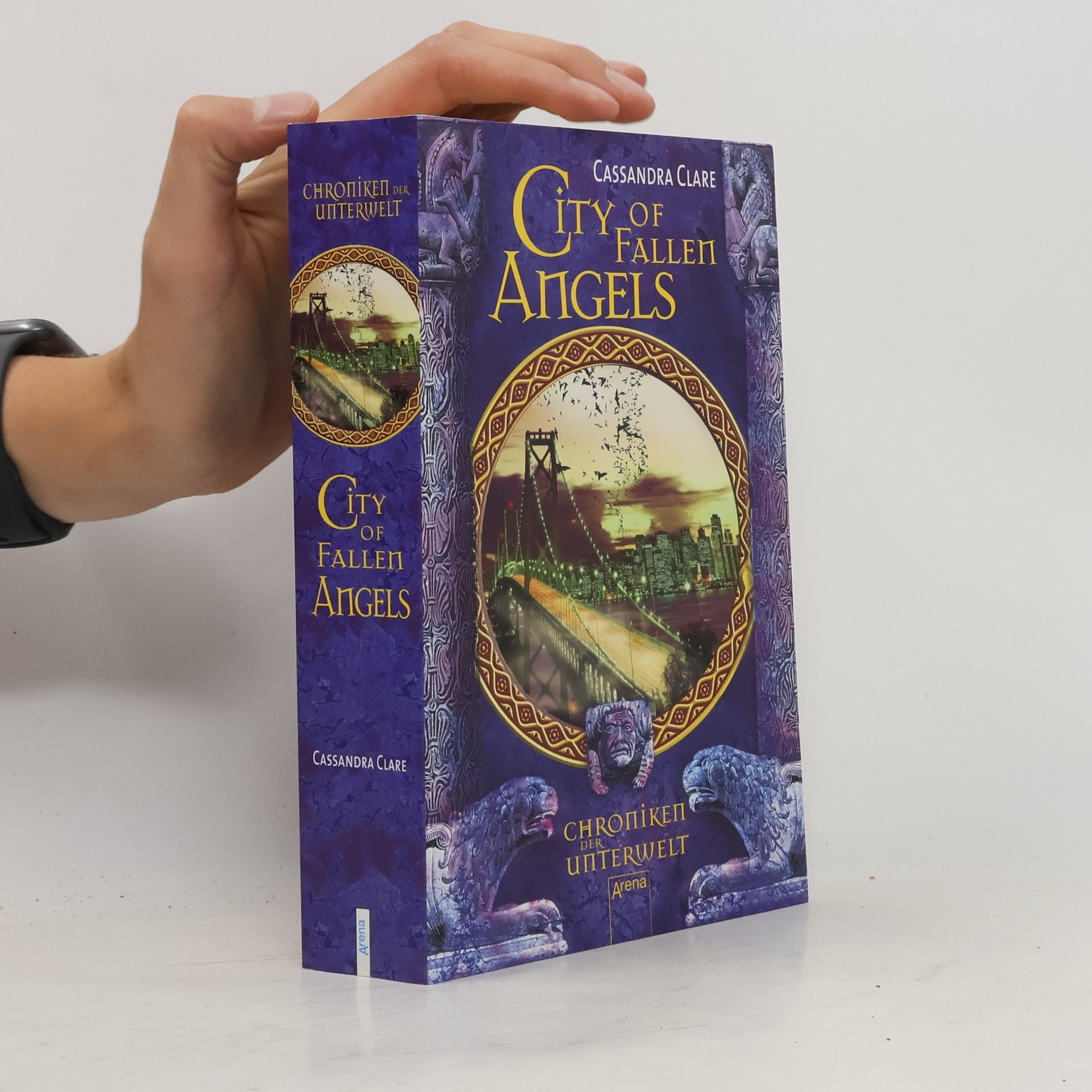 Cassandra Clare Chroniken der Unterwelt. City of Fallen Angels