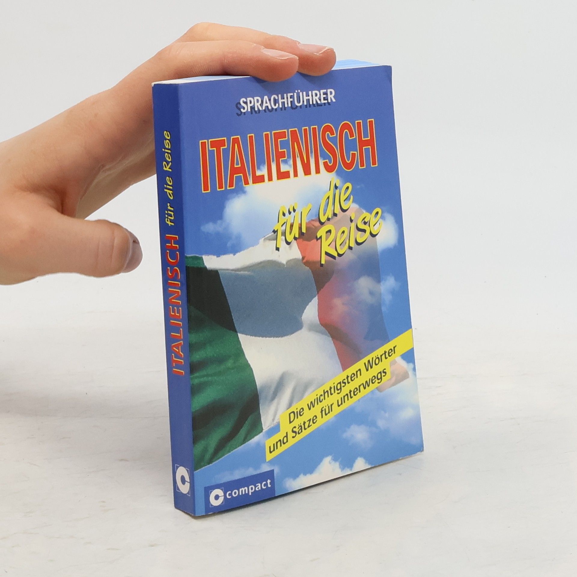 Mike Hillenbrand Sprachführer Italienisch für die Reise