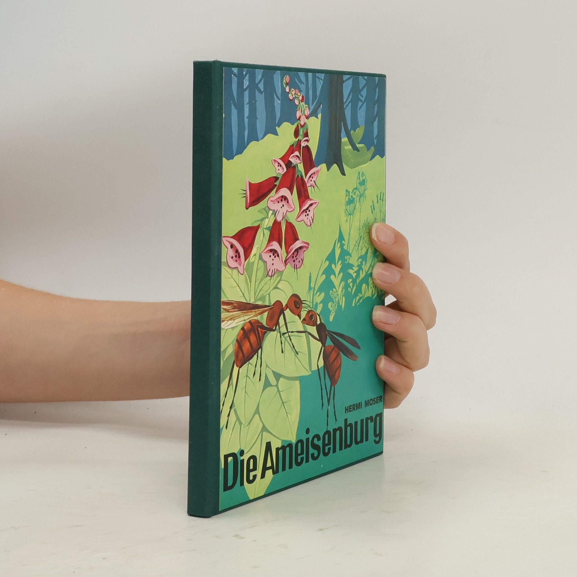 Hermi Moser Die ameisenburg