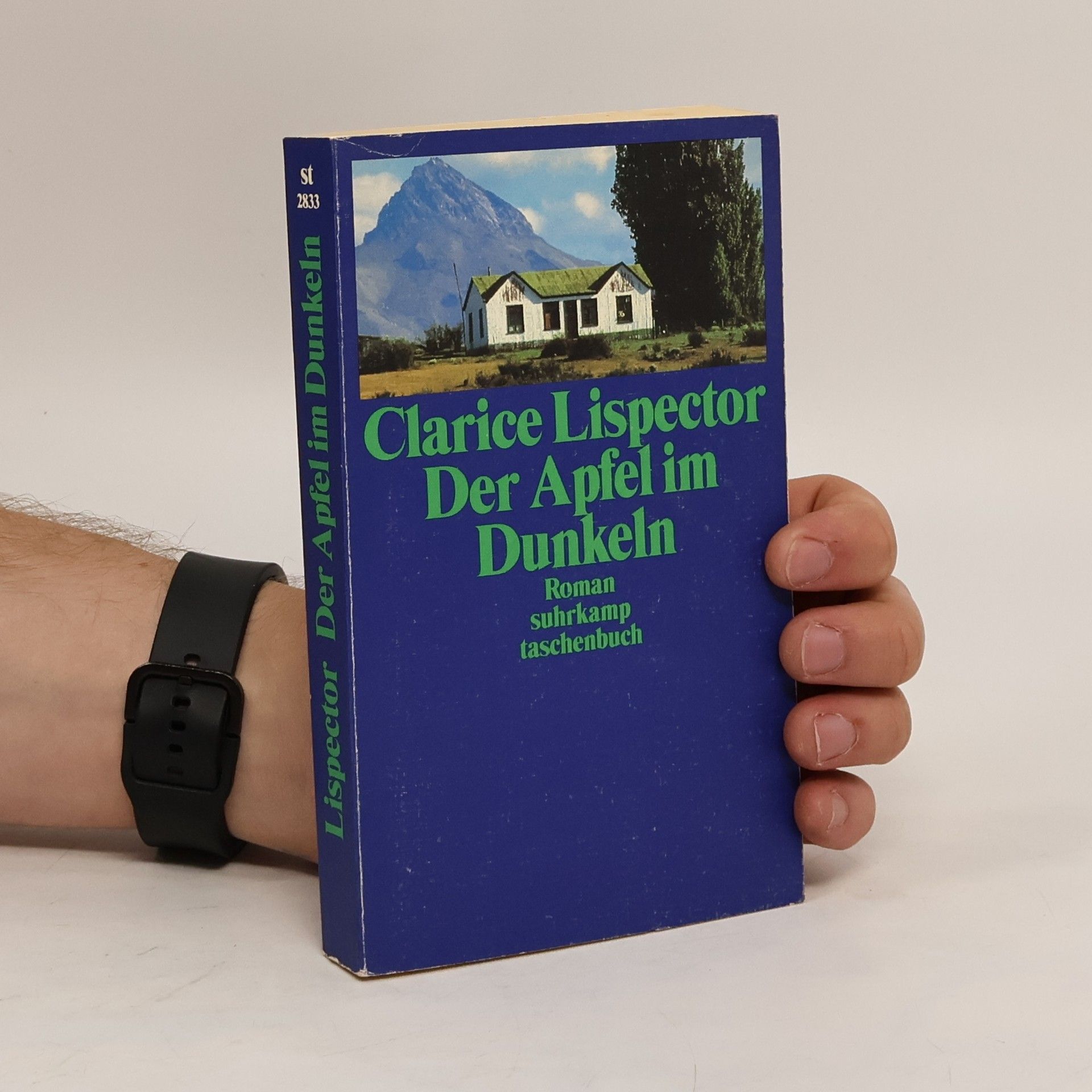 Clarice Lispector Der Apfel im Dunkeln. Roman