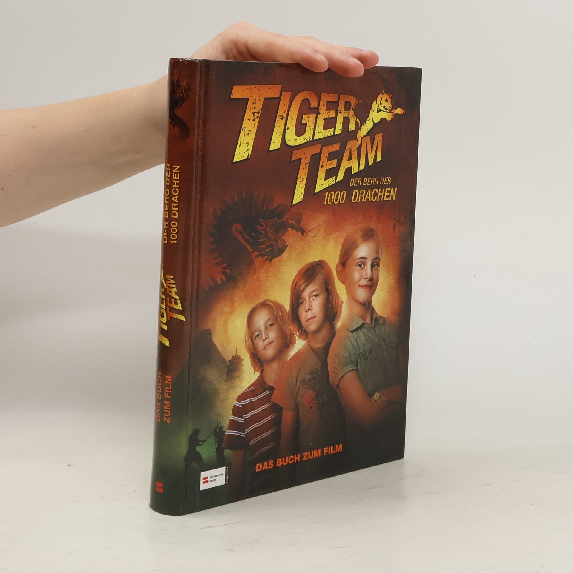 Thomas C. Brezina Tiger-Team, Der Berg der 1000 Drachen