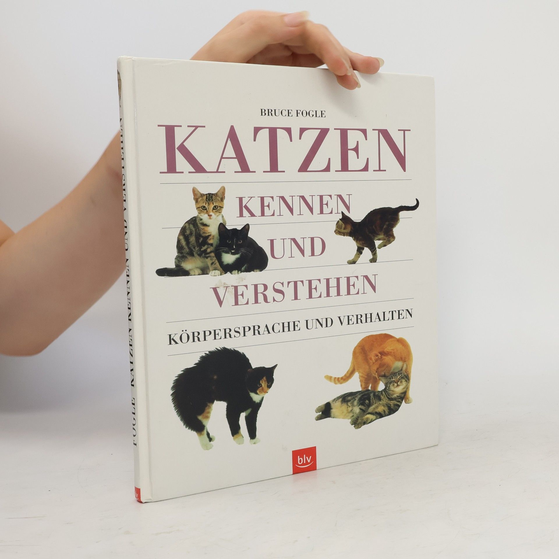 Bruce Fogle Katzen kennen und verstehen