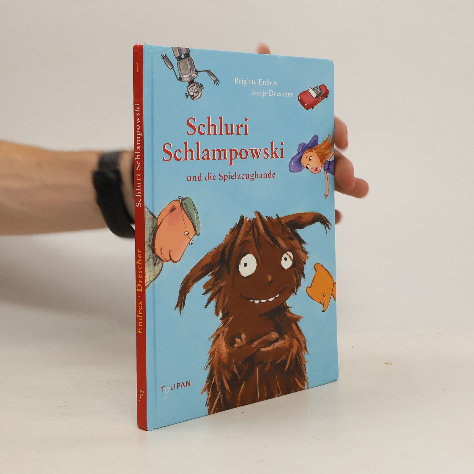 Brigitte Endres Schluri Schlampowski und die Spielzeugbande