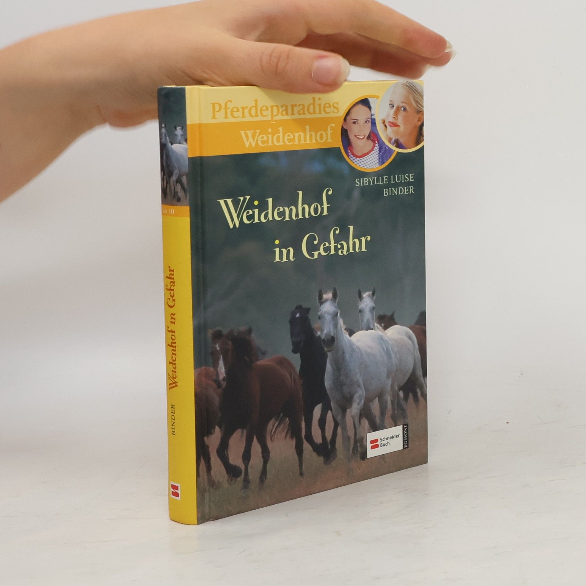 Sibylle Luise Binder Pferdeparadies Weidenhof - Band 12. Weidenhof in Gefahr