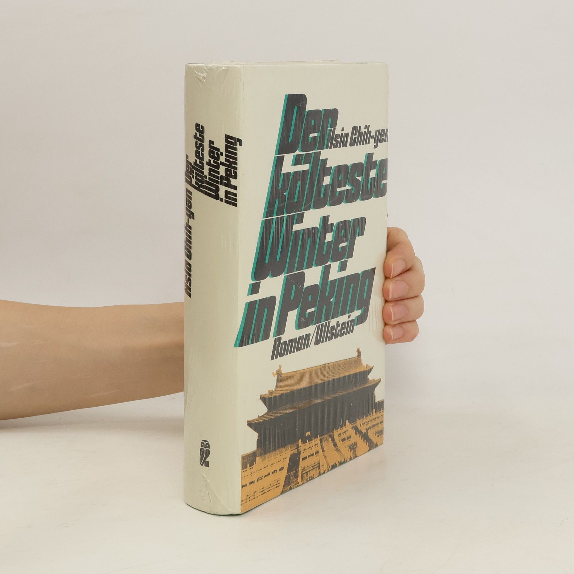 Hsia Chih-yen Der kälteste Winter in Peking