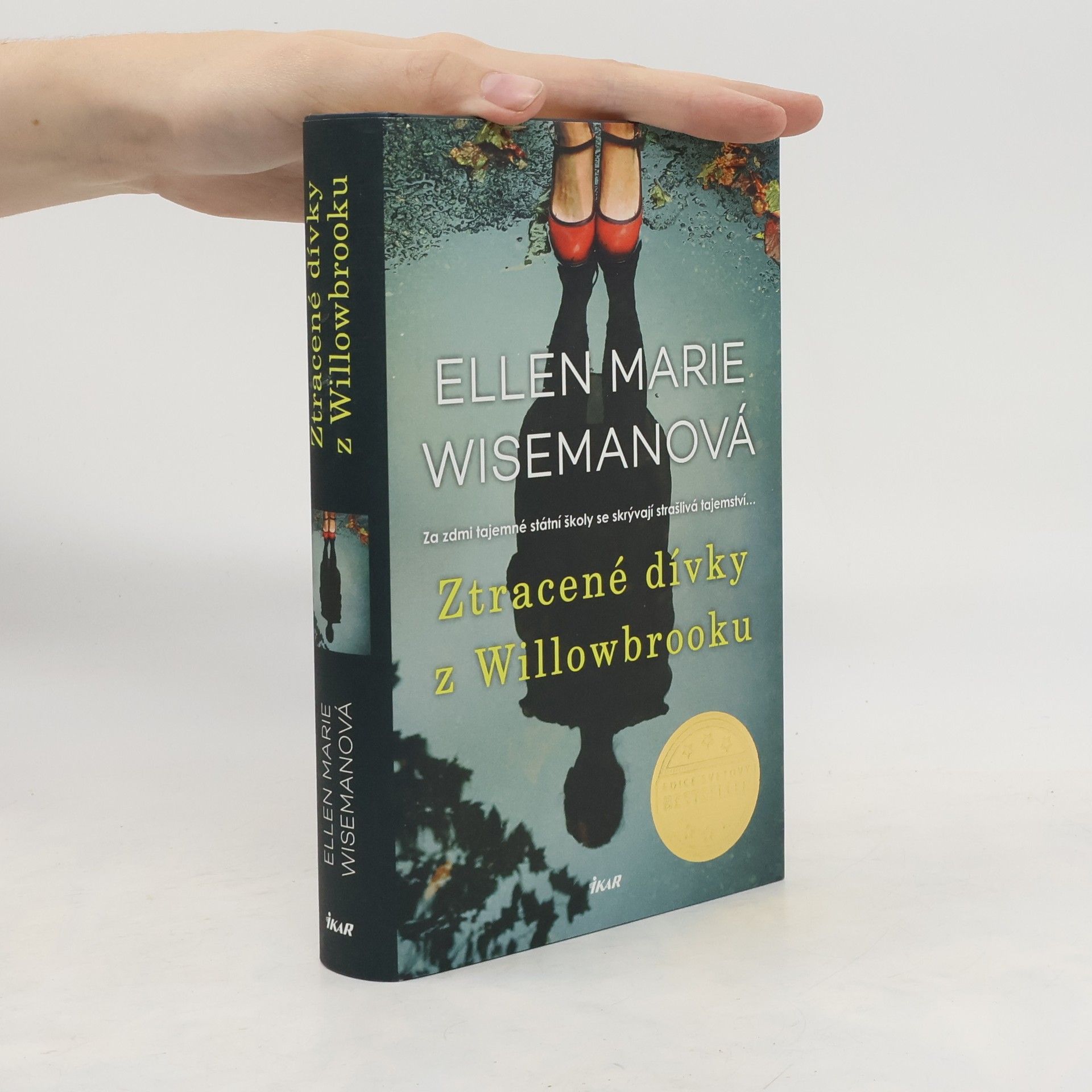 Ellen Marie Wiseman Ztracené dívky z Willowbrooku