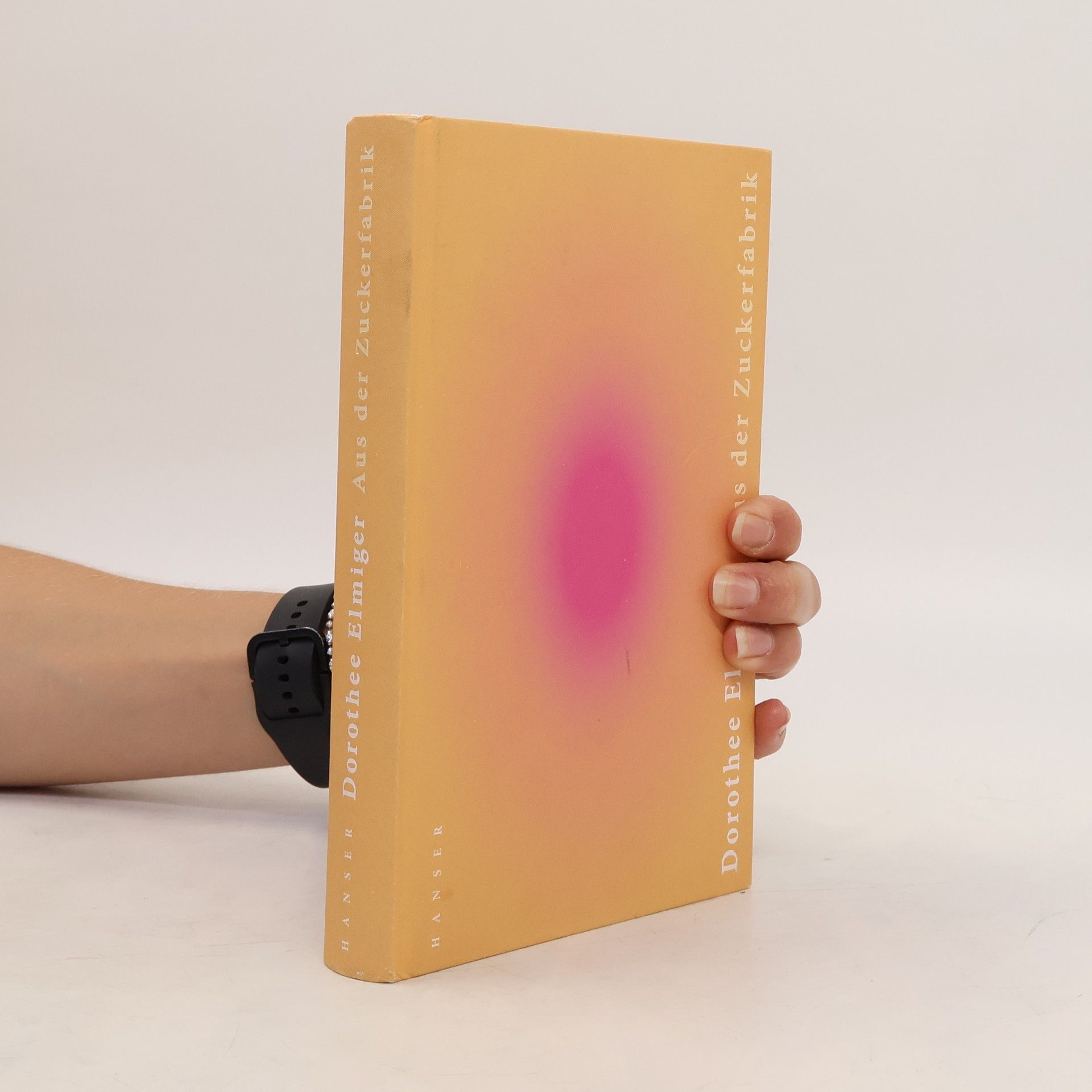 Dorothee Elmiger Aus der Zuckerfabrik
