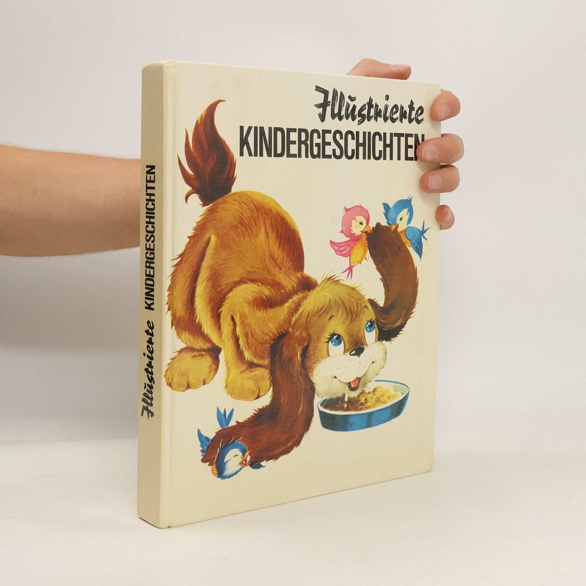 Collectif d'auteurs Illustrierte Kindergeschichten