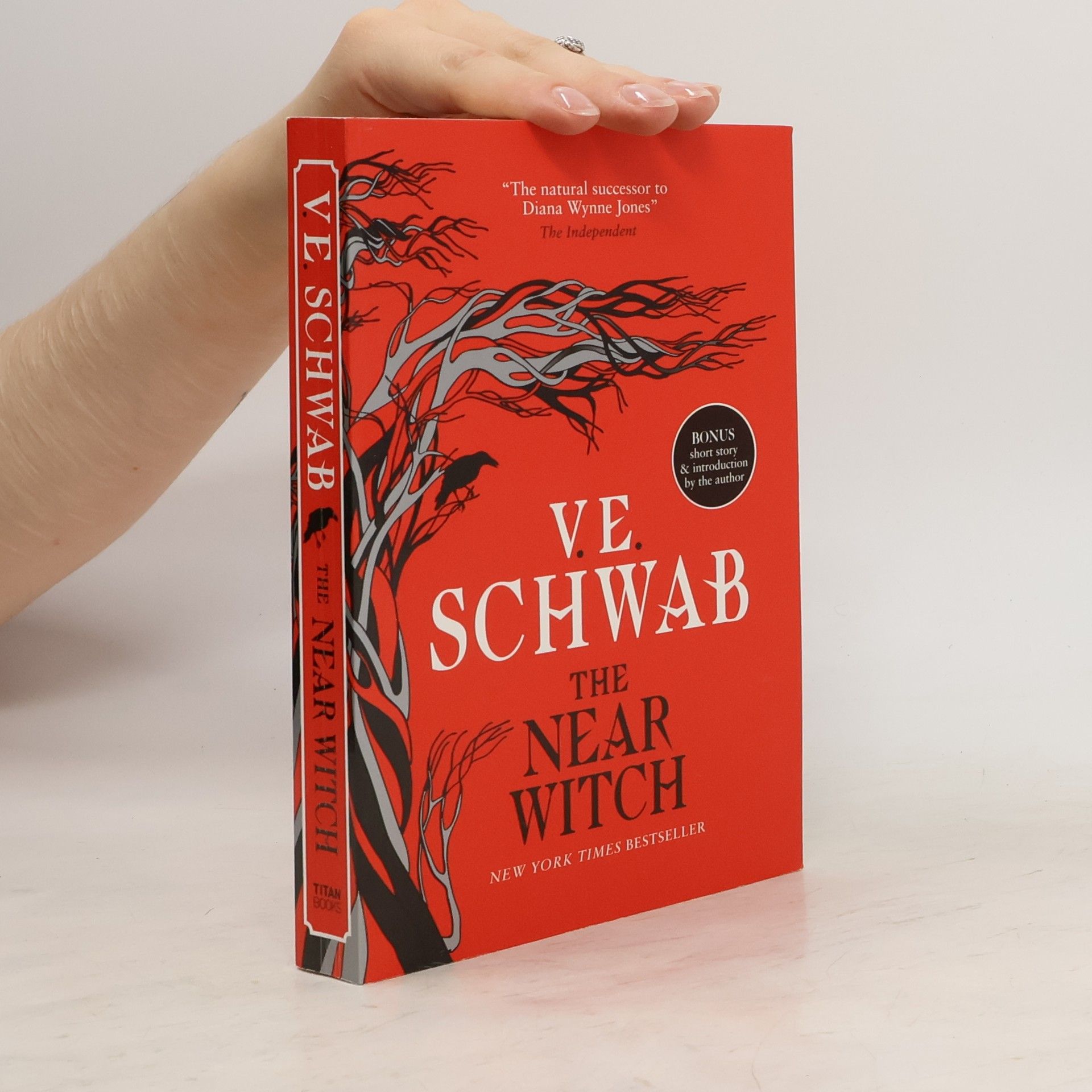 Victoria Schwab The Near Witch