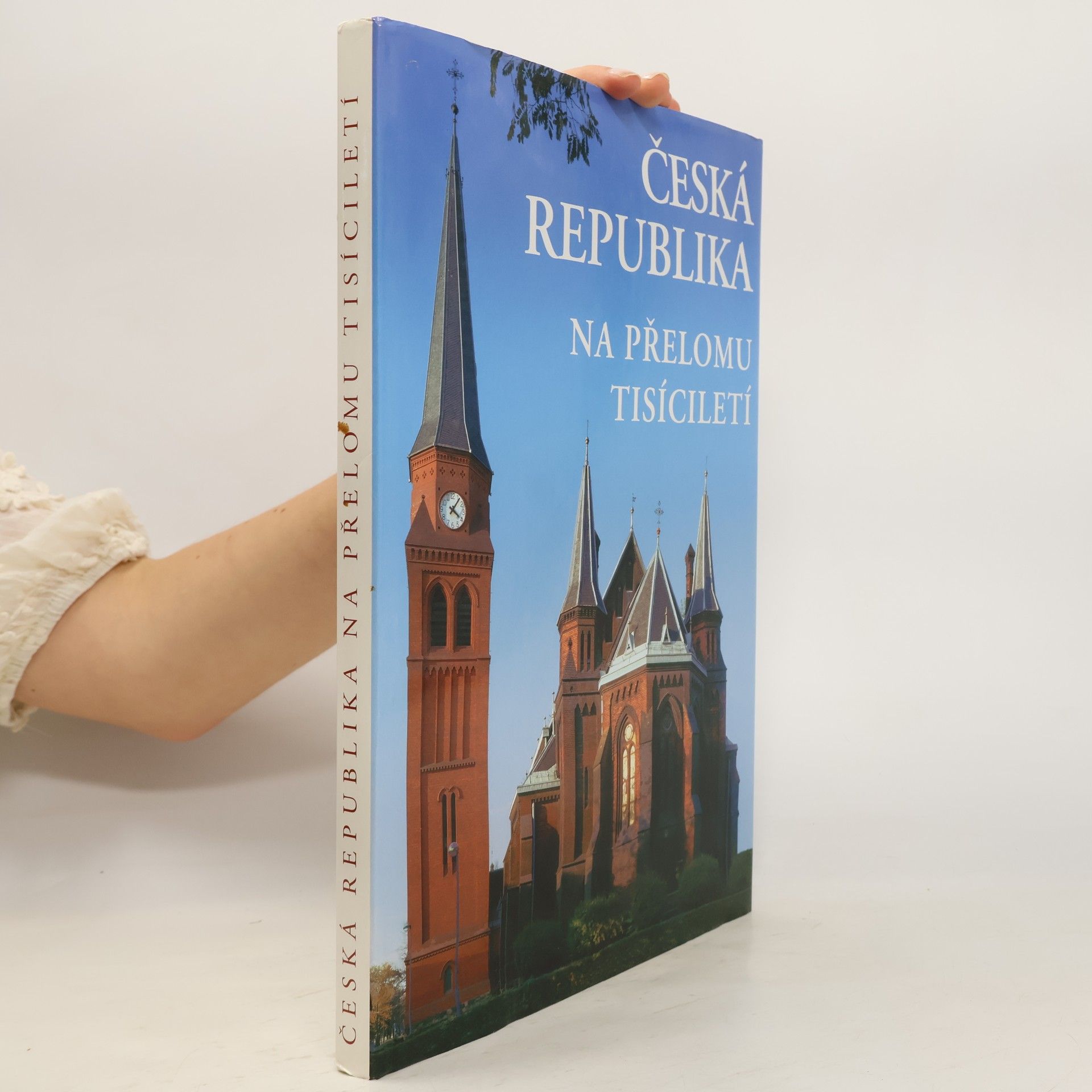 Zdenka Meixnerová Česká republika na přelomu tisíciletí