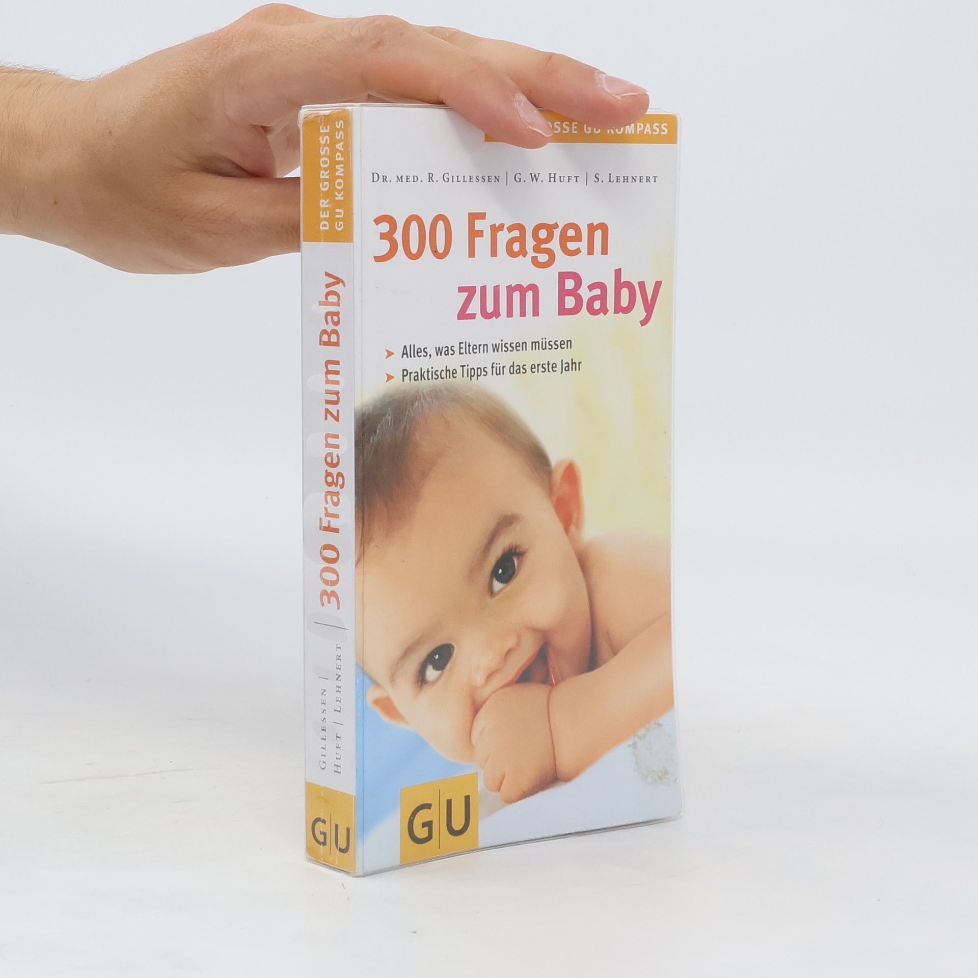 Rainer Gillesen 300 Fragen zum Baby