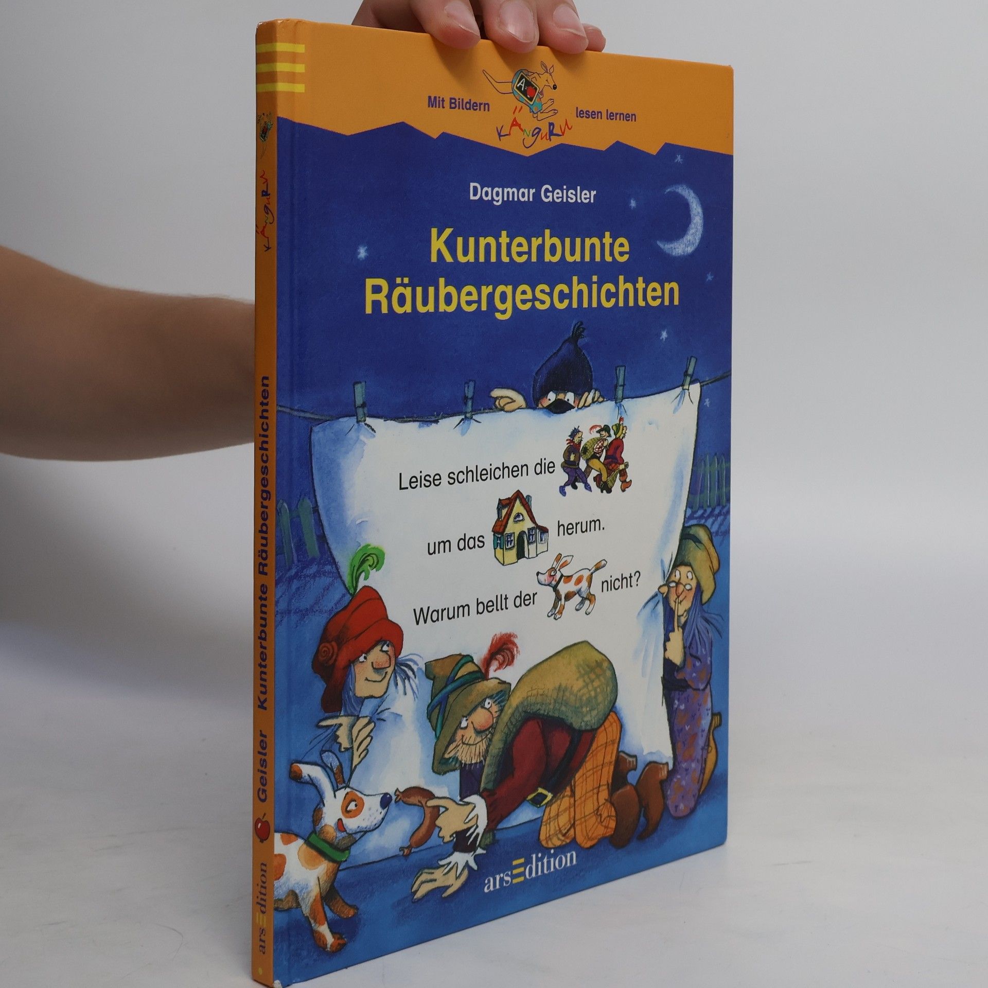 Dagmar Geisler Kunterbunte Räubergeschichten