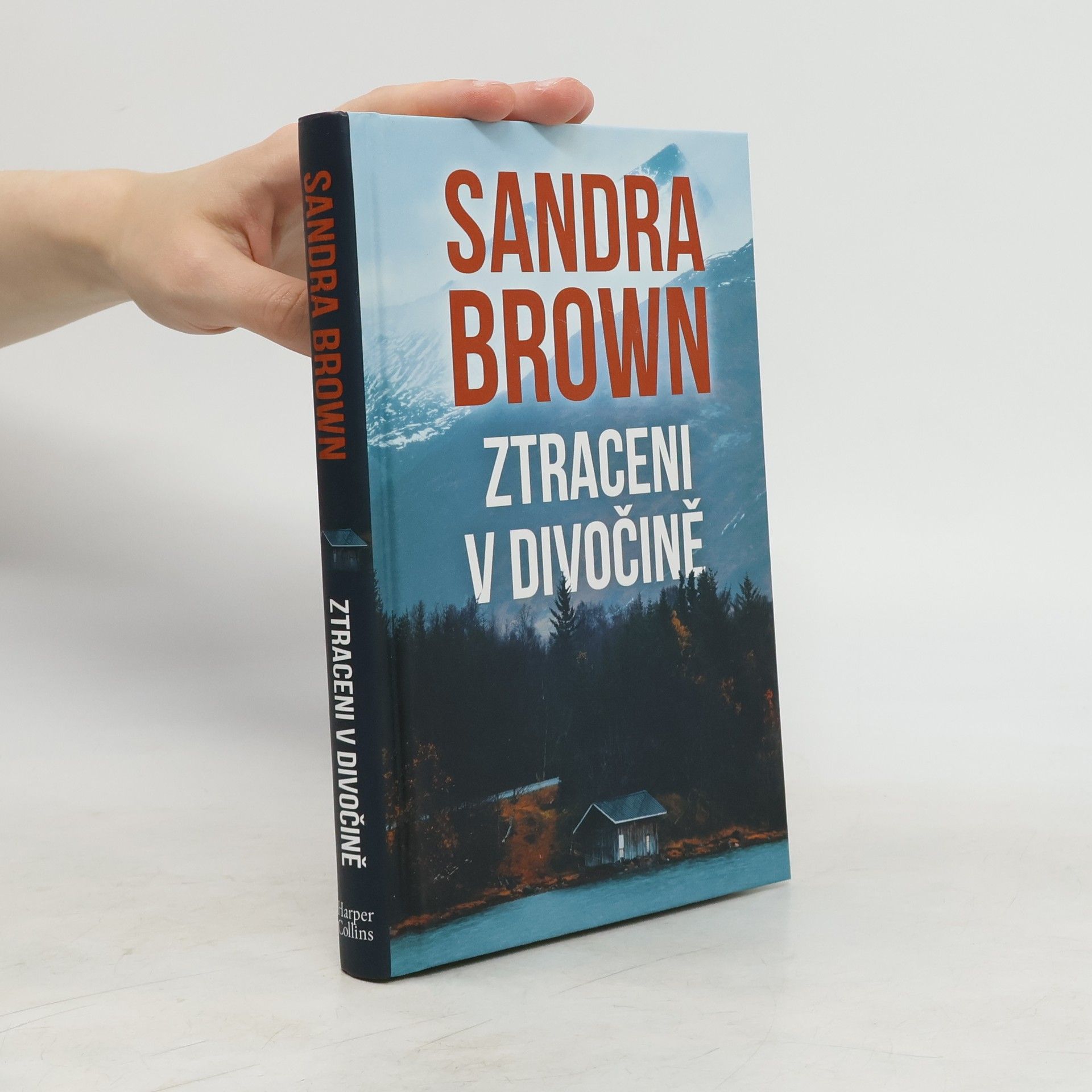 Sandra Brown Ztraceni v divočině