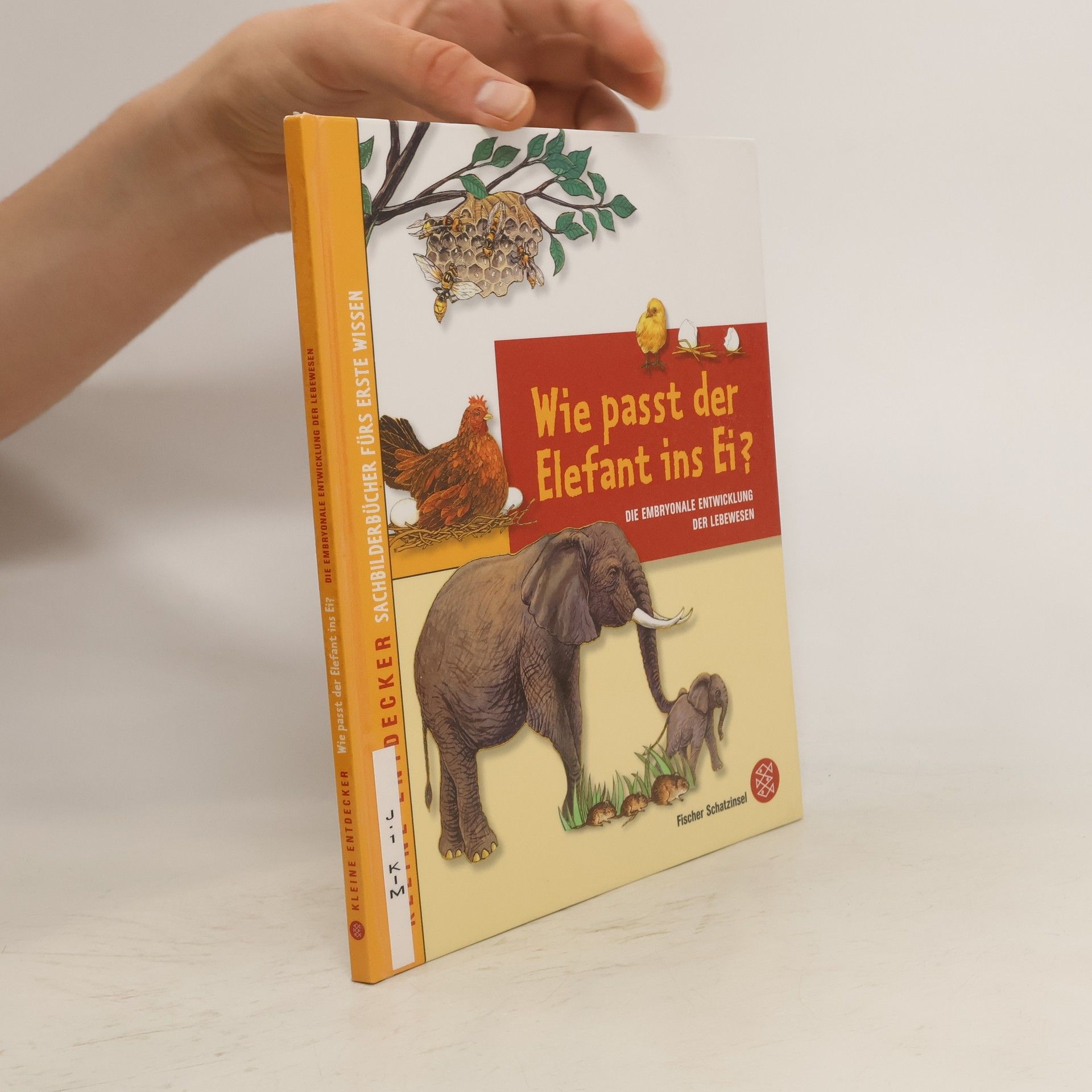 Mi-Gyeong Kim Kleine Entdecker – Wie passt der Elefant ins Ei?. Die embryonale Entwicklung der Lebewesen