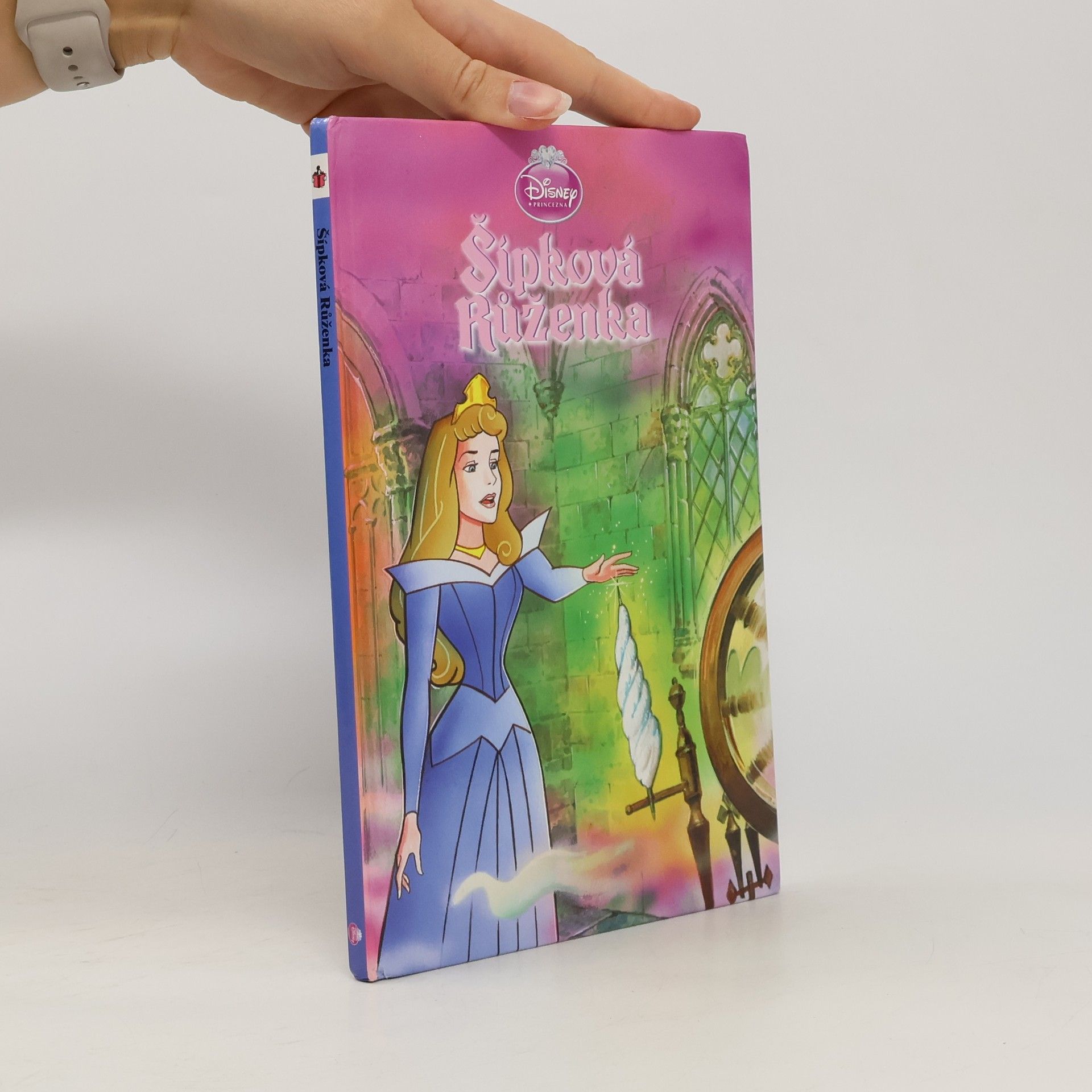 Collectif d'auteurs Šípková Růženka