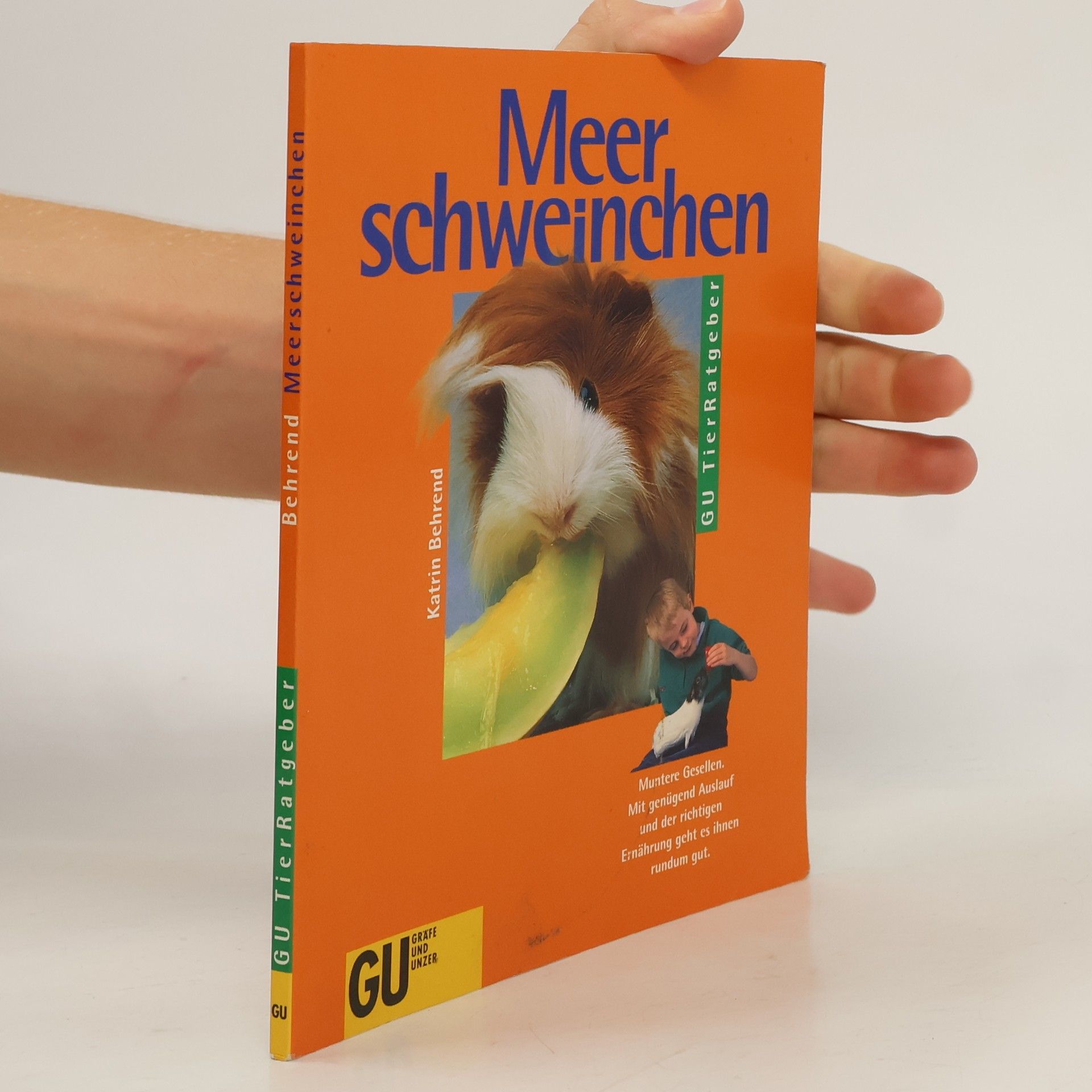 Katrin Behrend Meerschweinchen