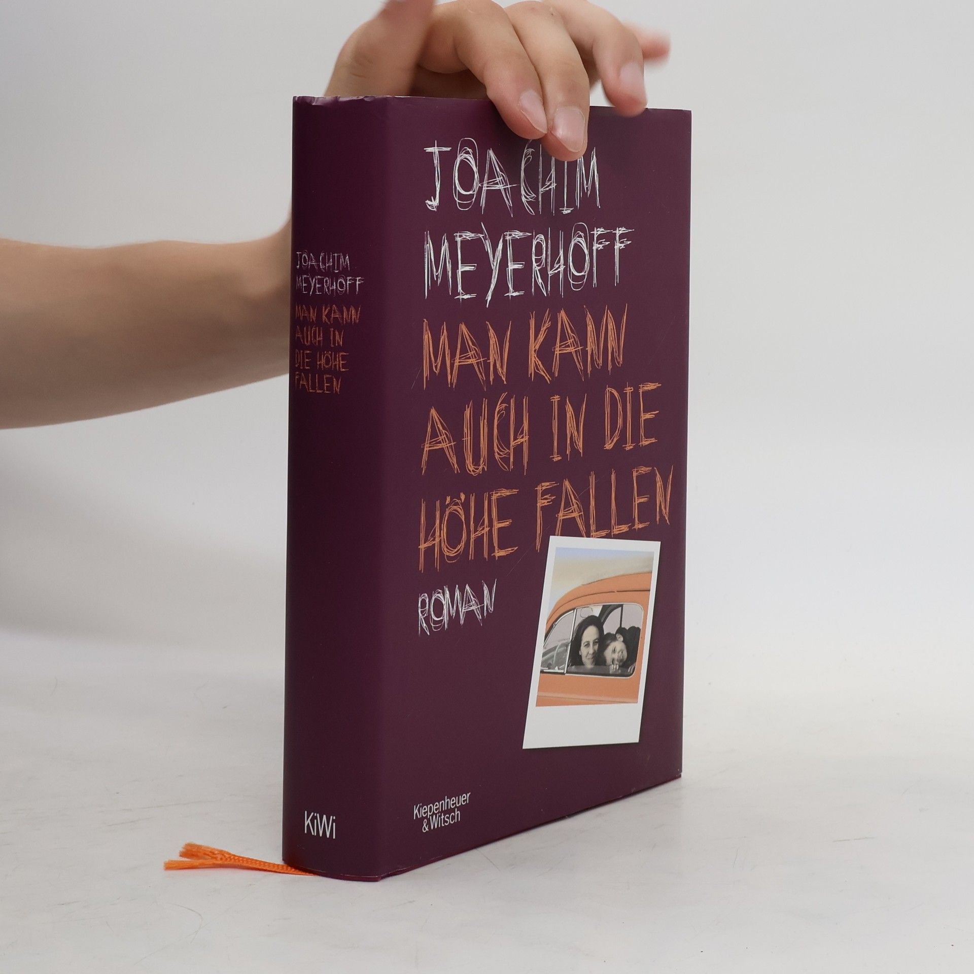 Joachim Meyerhoff Man kann auch in die Höhe fallen