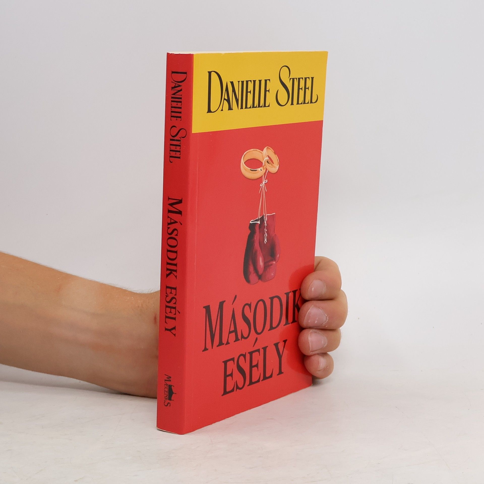 Danielle Steel Második esély
